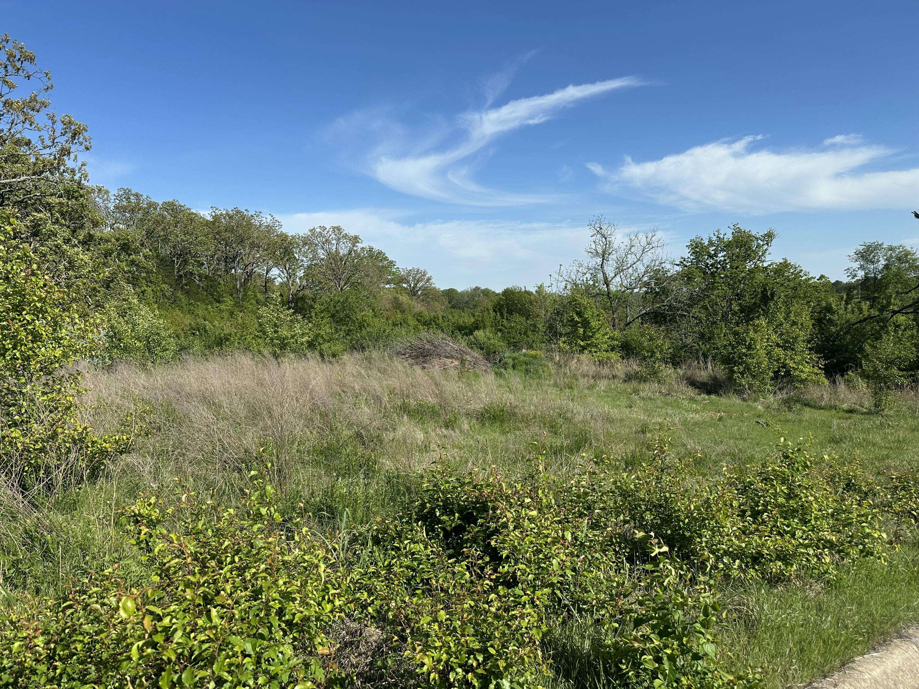 000 Bear Valley Drive, West Plains, MO 65775