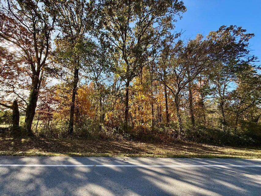 000 Lilly Ave. AVE, Houston, MO 65483