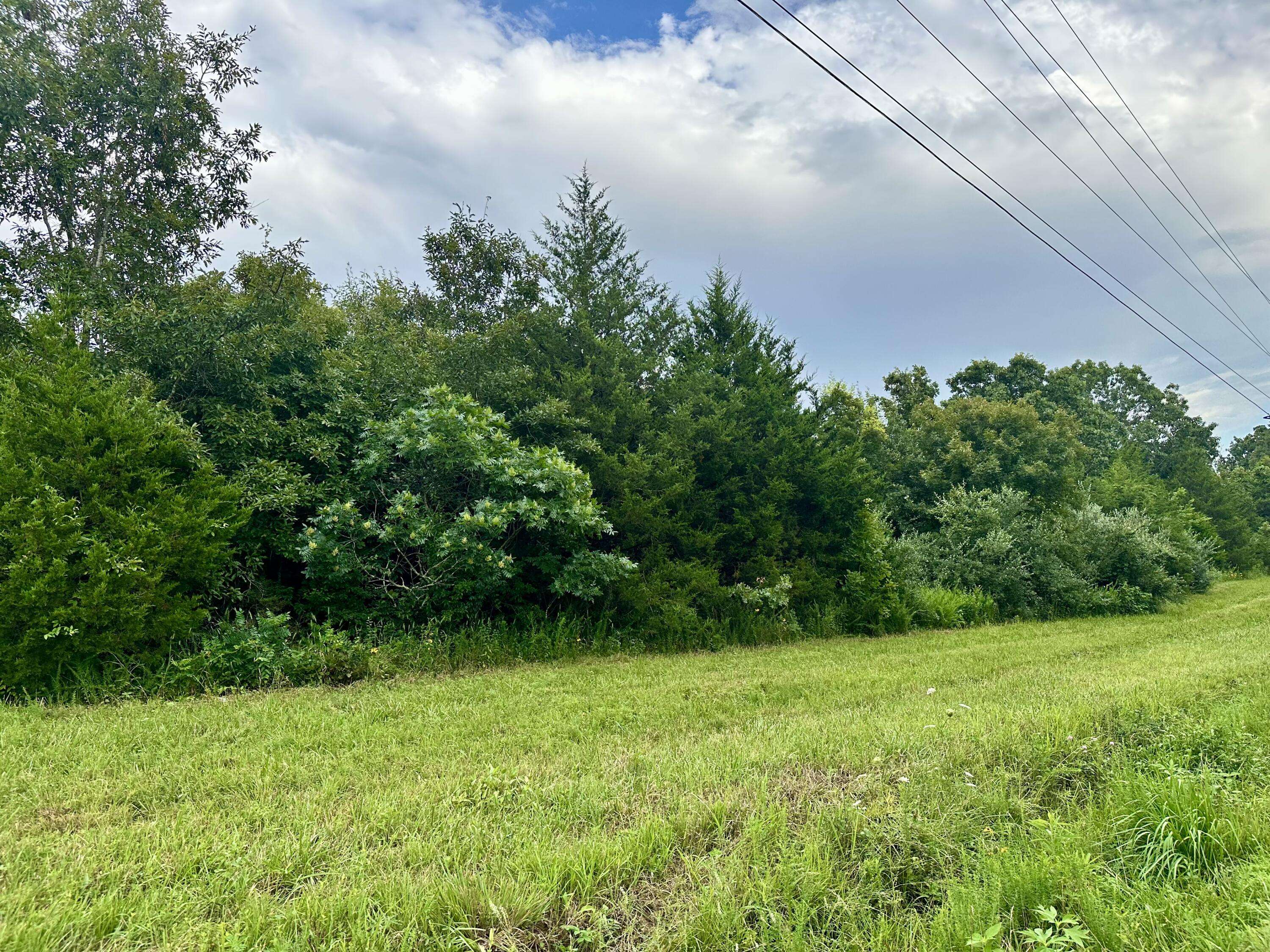 000 Co Rd 4180 Lot 1, Salem, MO 65560