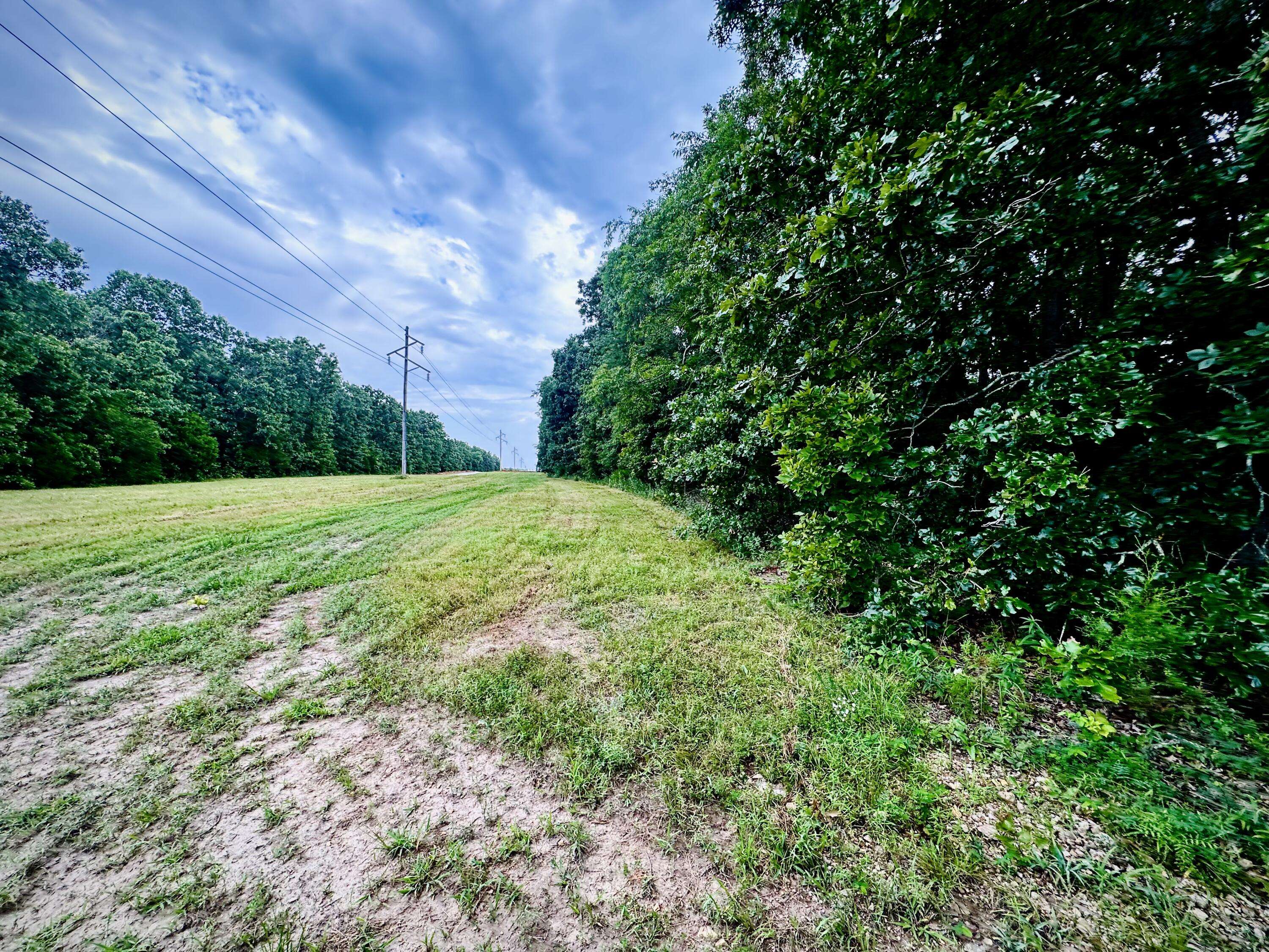 000 Co Rd 4180 Lot 10, Salem, MO 65560