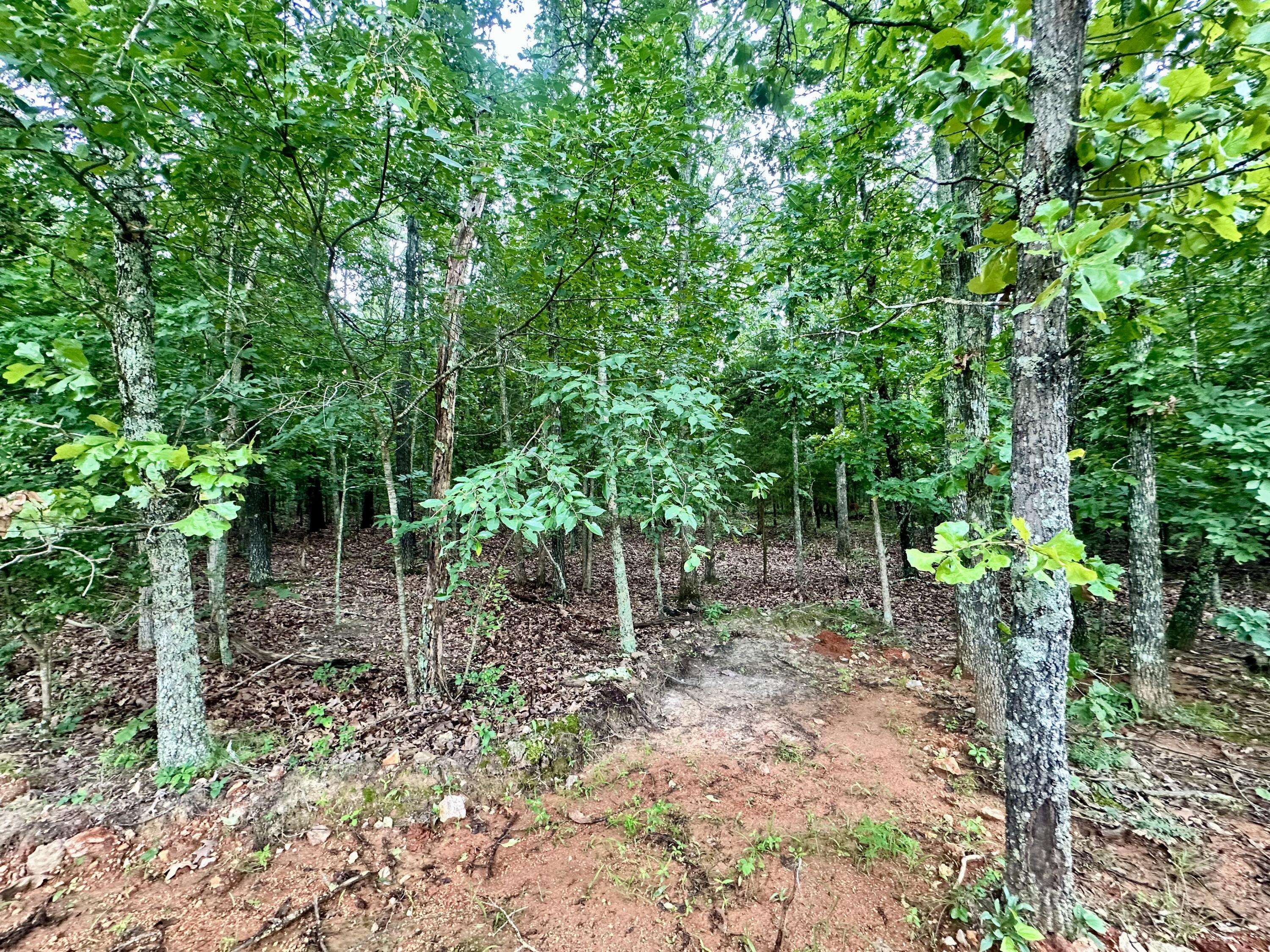 000 Co Rd 4180 Lot 10, Salem, MO 65560