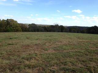 Tbd State Highway Aa, Crane, MO 65633
