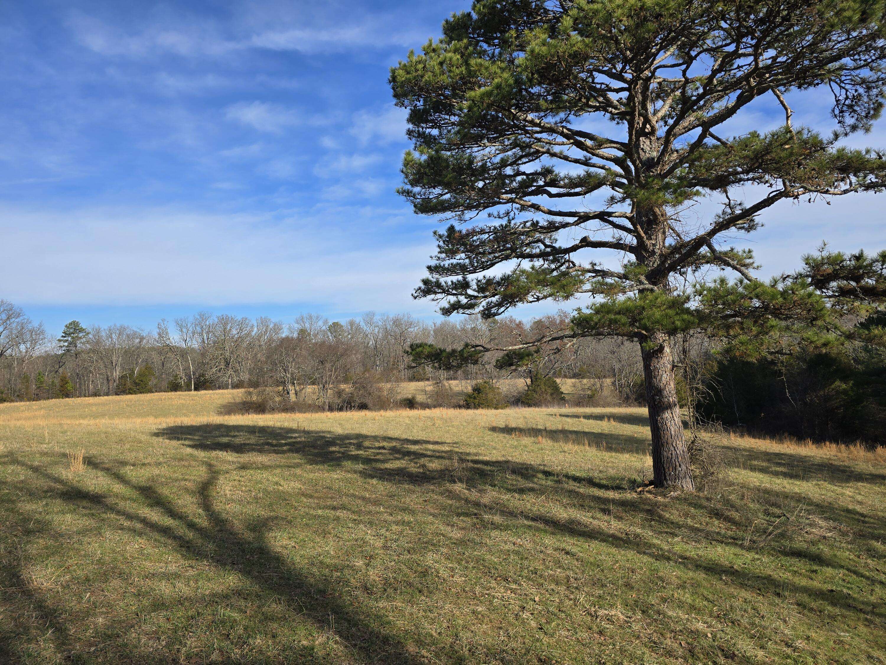 000 Airport Road, Houston, MO 65483