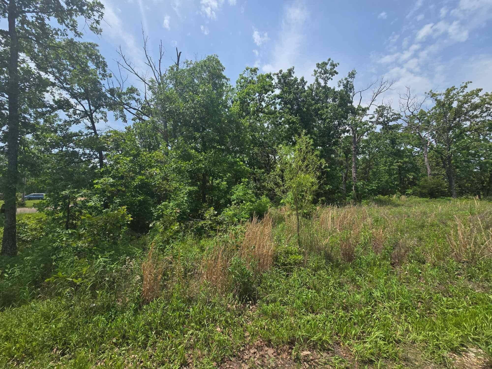 000 64 Hwy #Lot 9, Lebanon, MO 65536