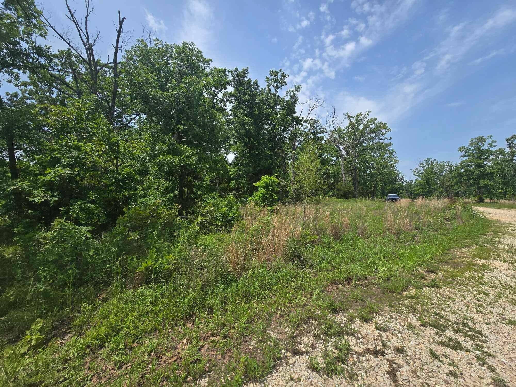 000 Highway 64 #Lot 10, Lebanon, MO 65536