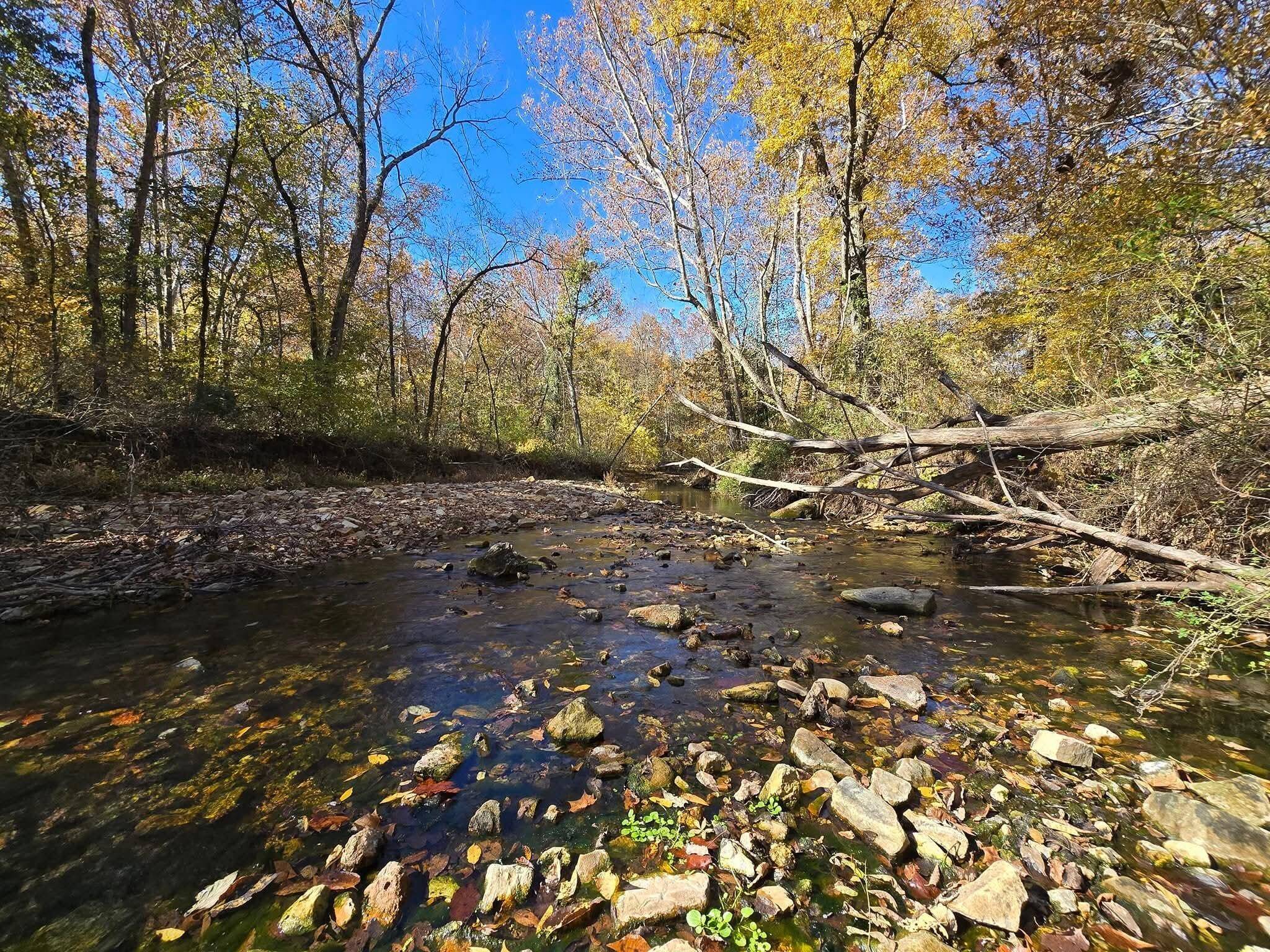 000 Mineral Dr. Lot 1, Houston, MO 65483