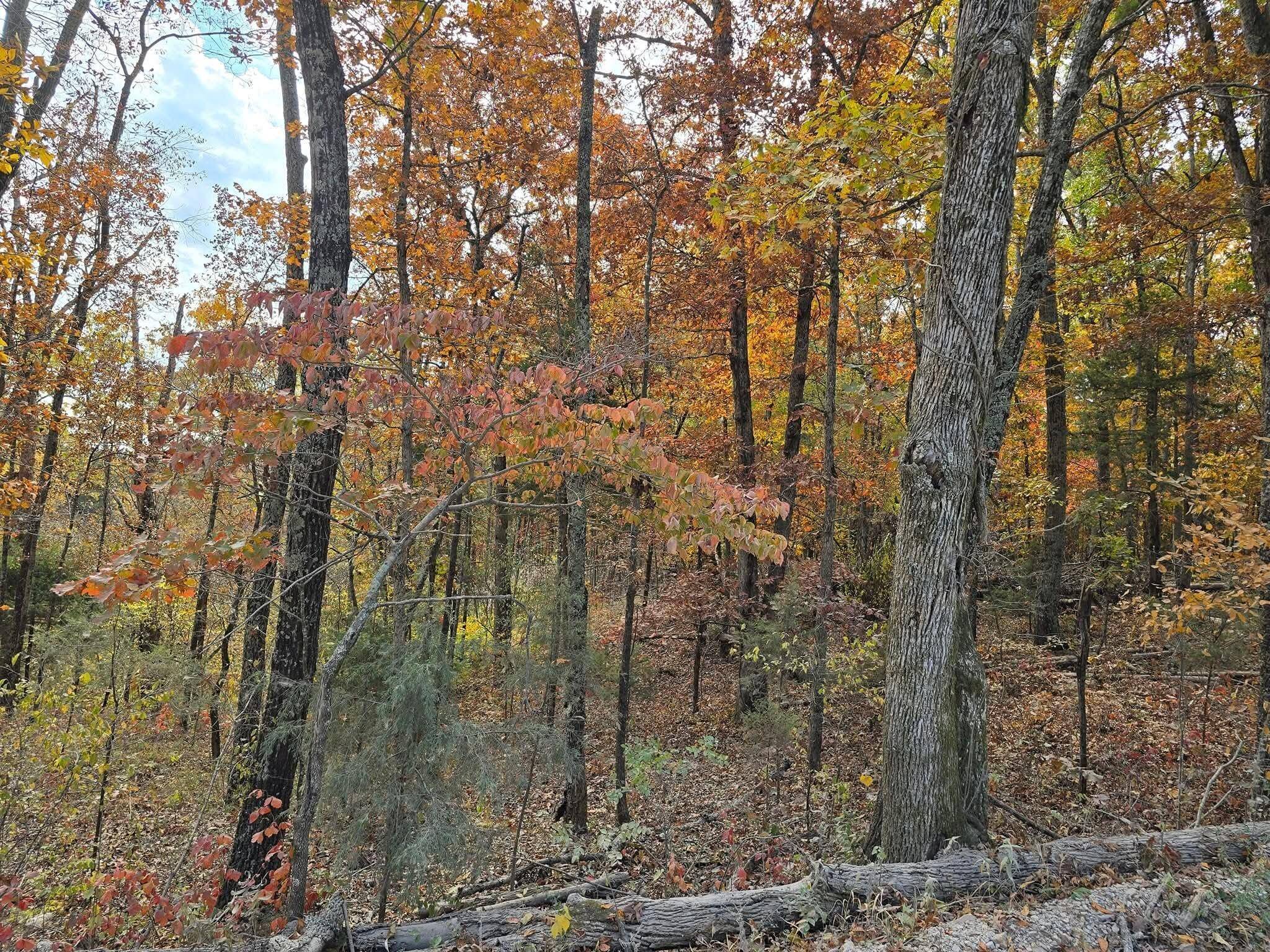 000 Mineral Dr. Lot 1, Houston, MO 65483