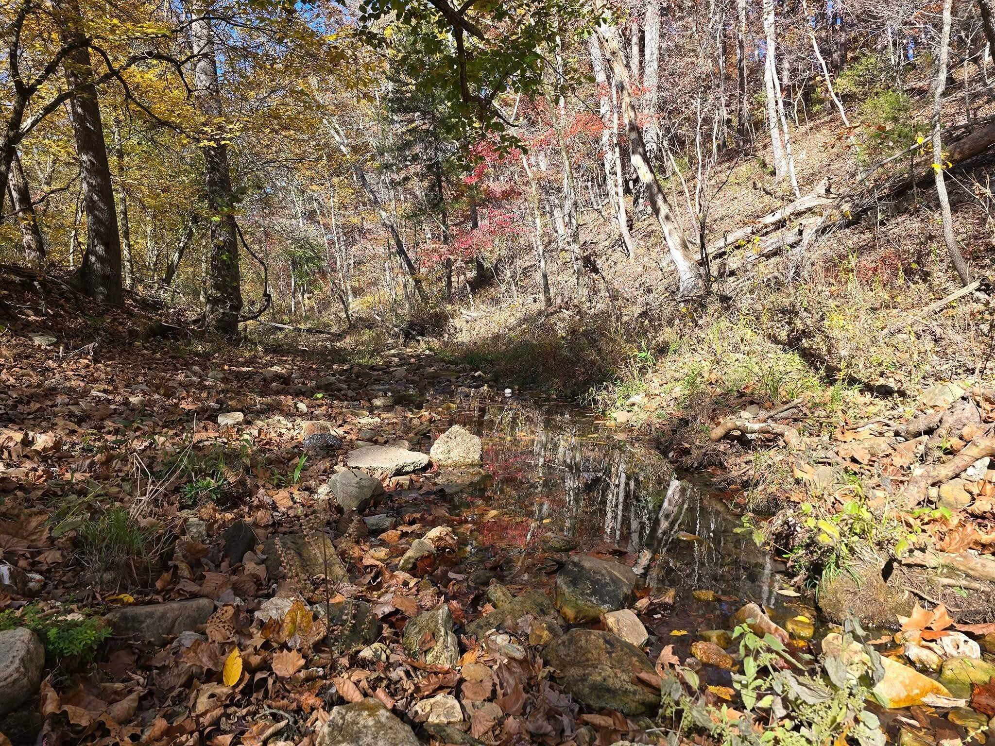 000 Mineral Dr. Lot 2, Houston, MO 65483