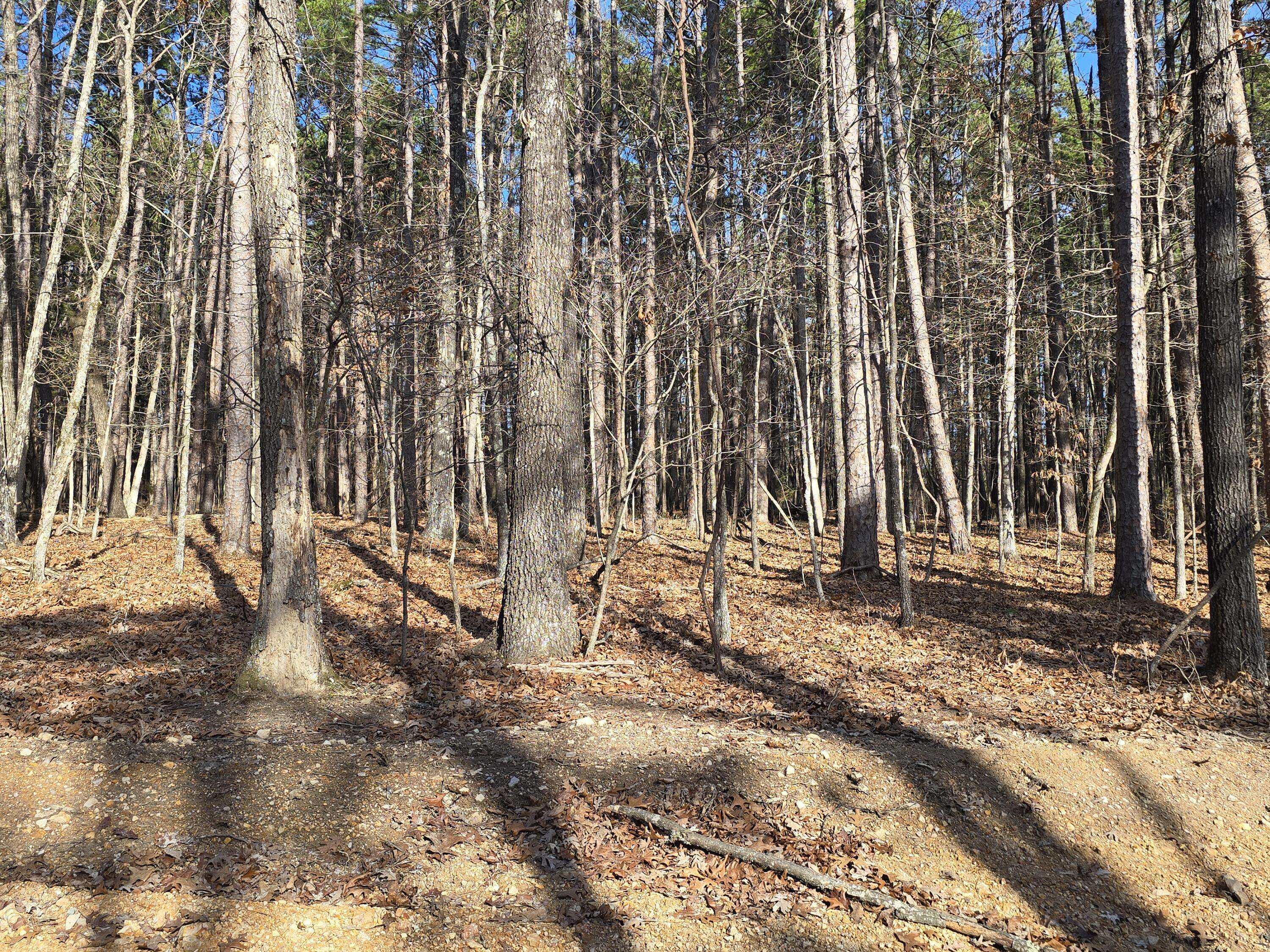 000 Mineral Dr. Lot 2, Houston, MO 65483