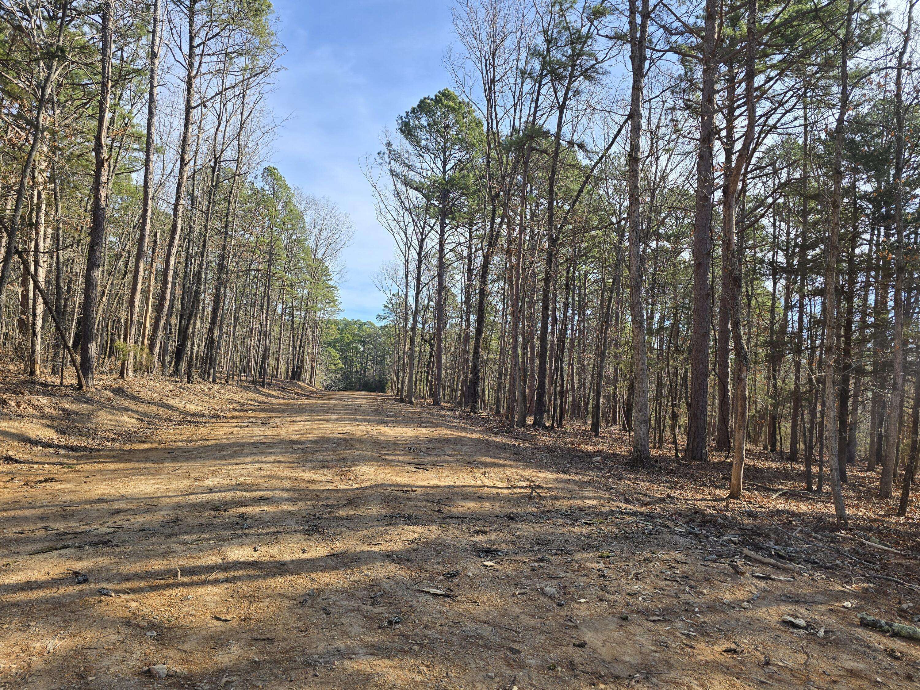000 Mineral Dr. Lot 3, Houston, MO 65483