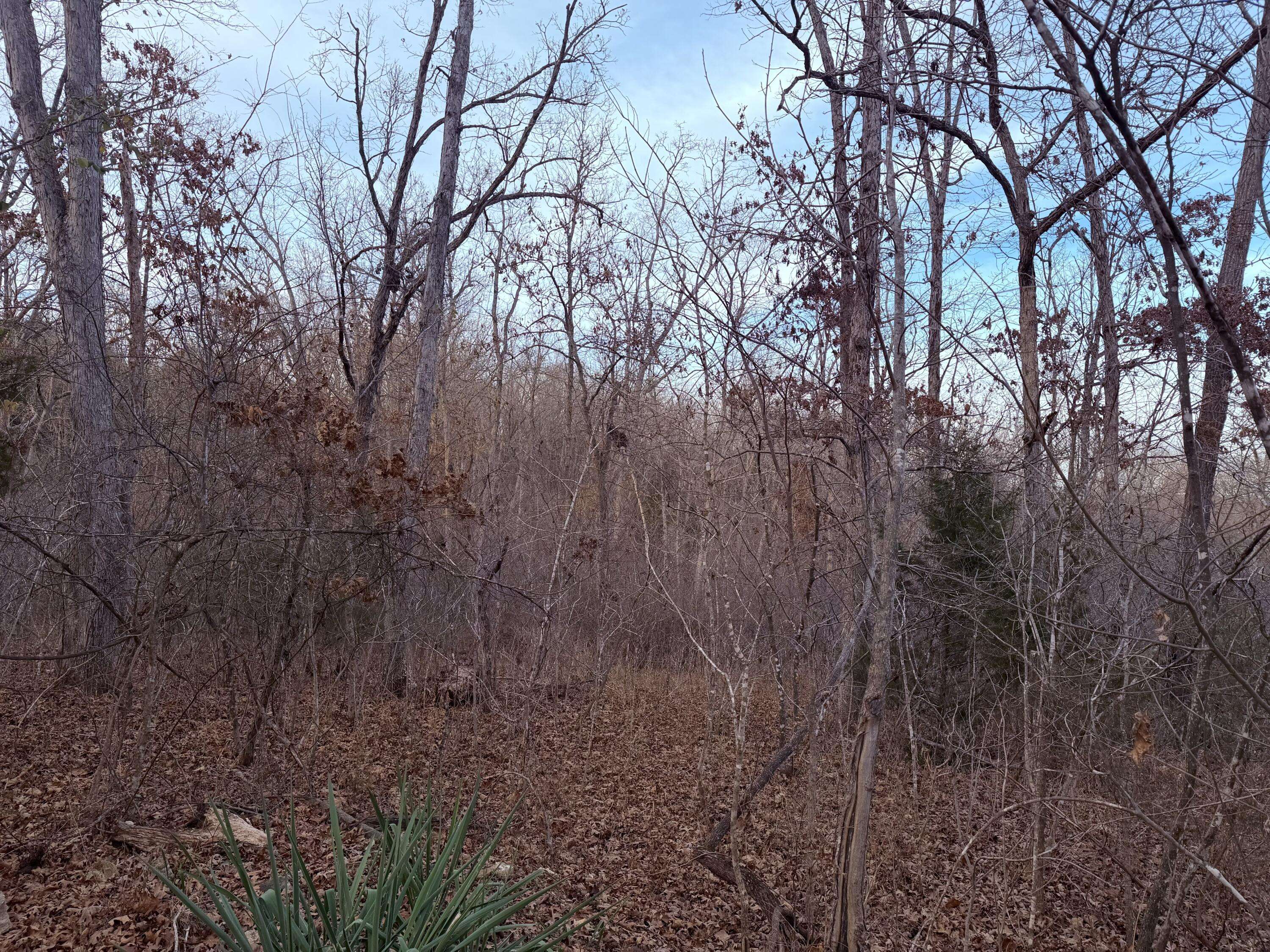 000 N Dade 173, Greenfield, MO 65661