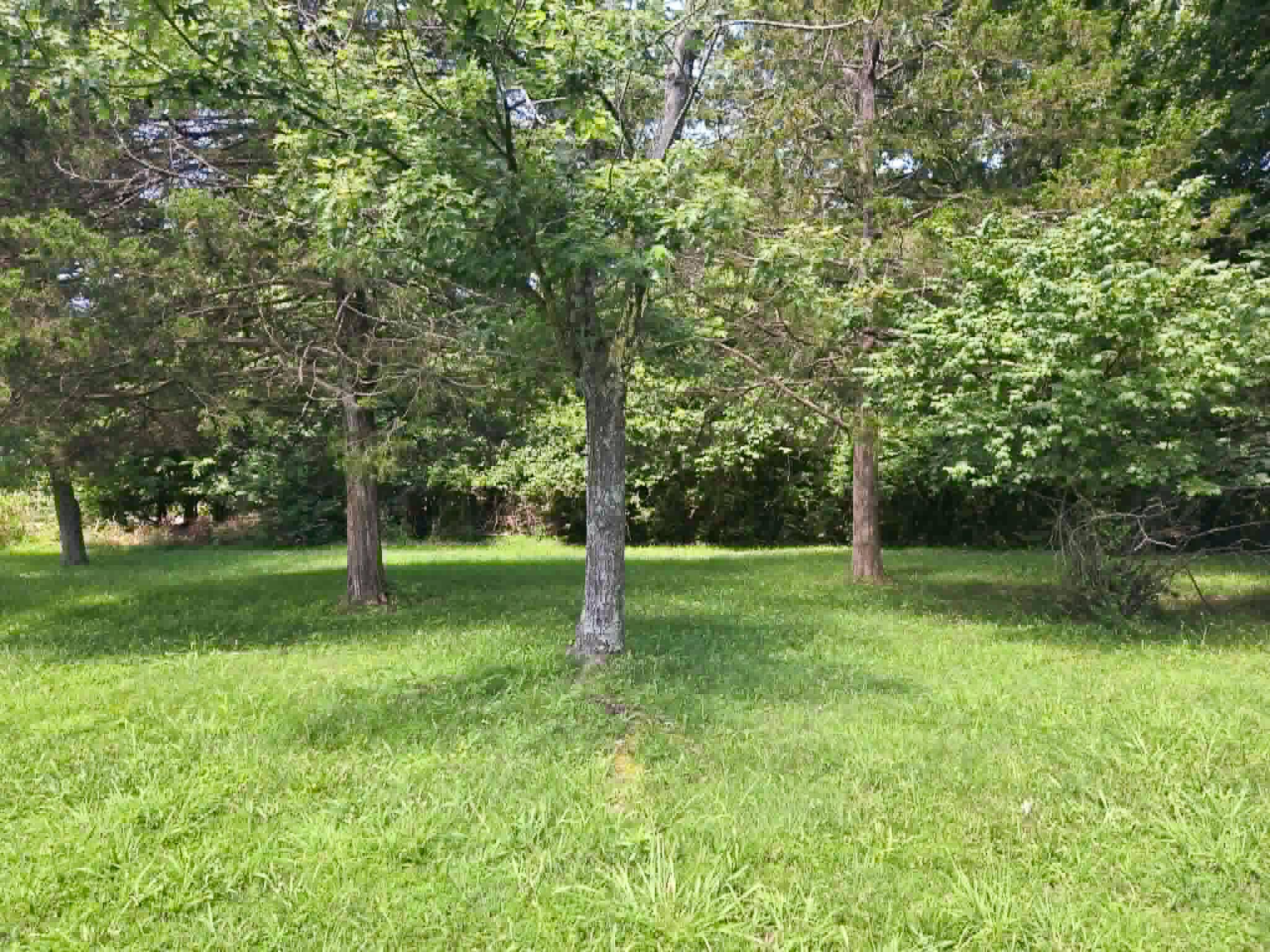 1104 Highland Street, Cabool, MO 65689