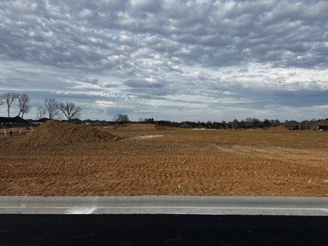 Lot 9 The Village Of Cloverhill, Nixa, MO 65714