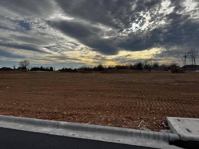 Lot 9 The Village Of Cloverhill, Nixa, MO 65714