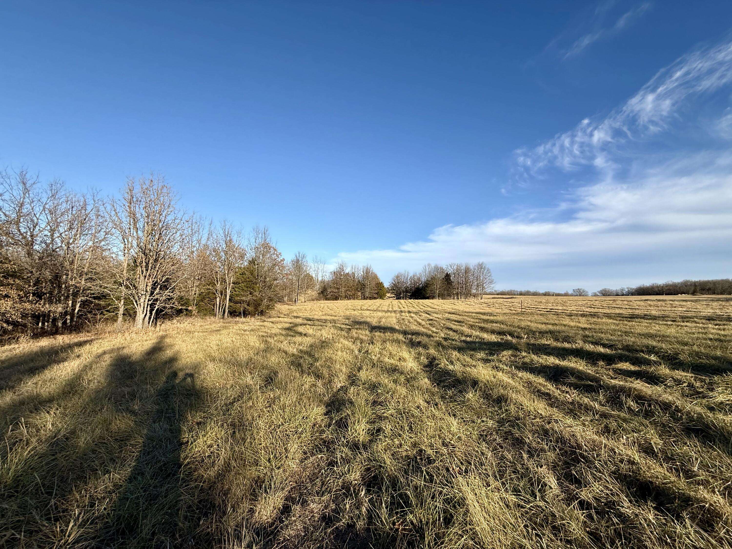 45972 Hwy 72 Tract 5, Salem, MO 65560