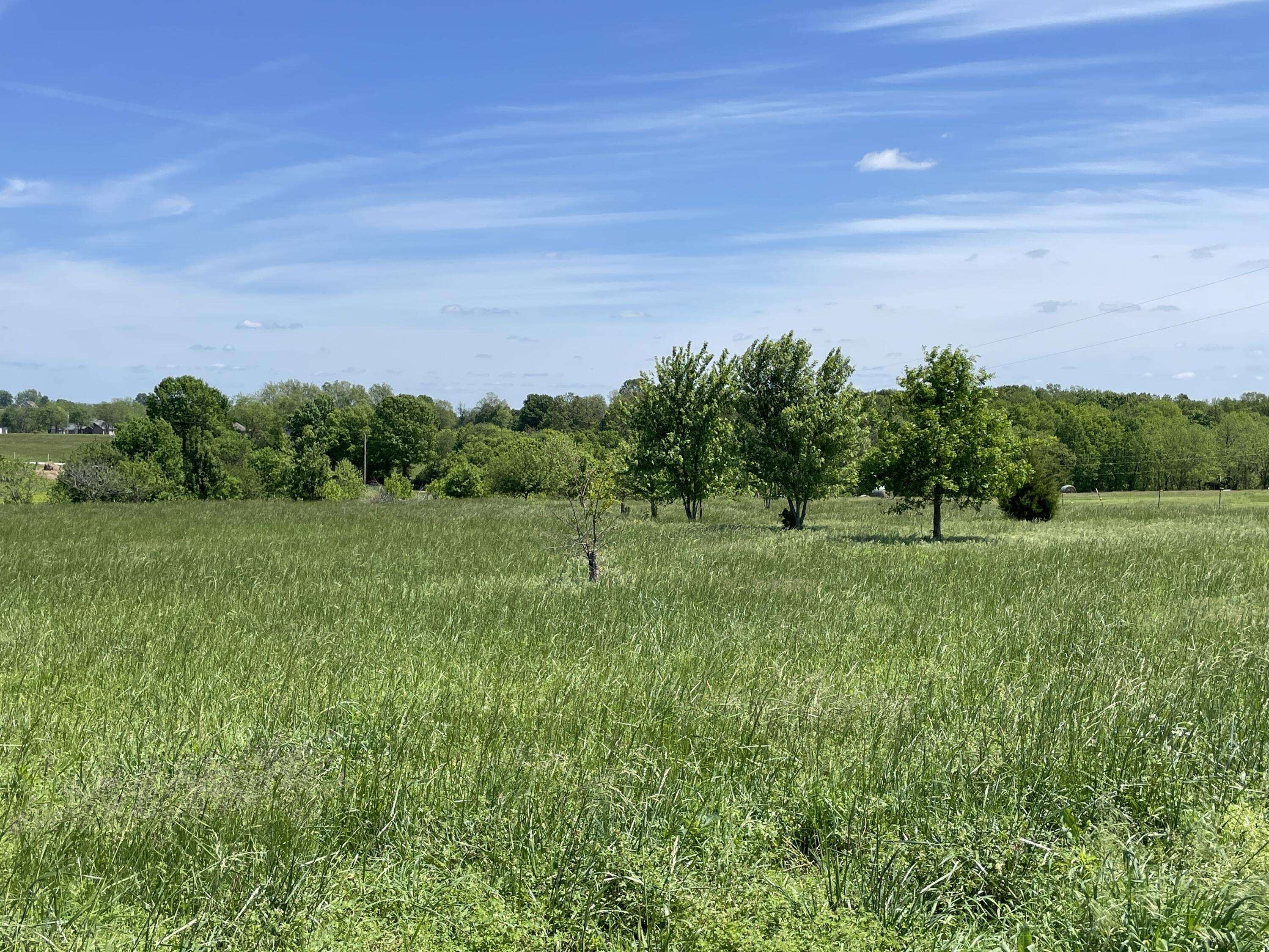 000 Terrell Valley DR, Republic, MO 65738