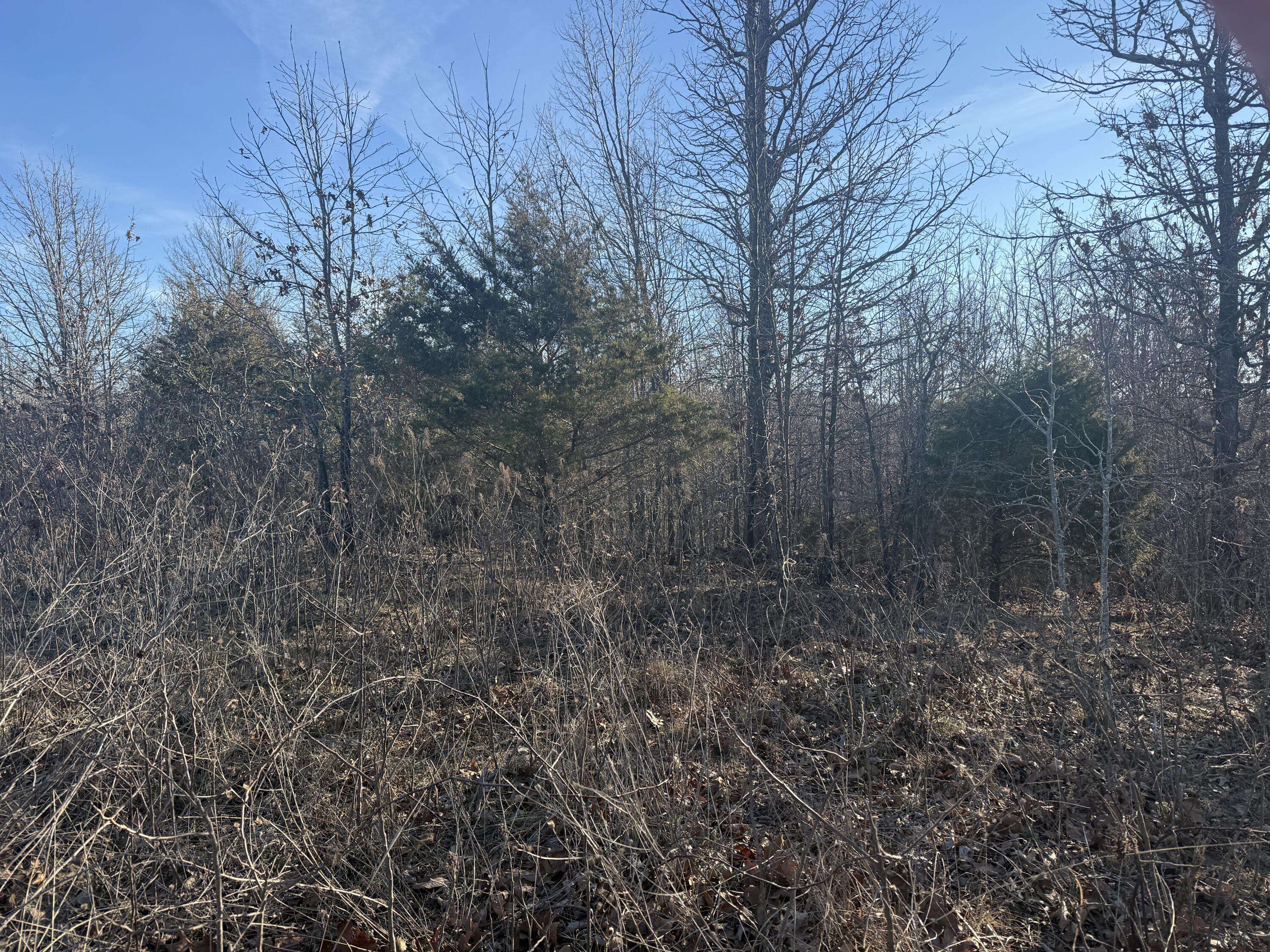 000 Highway U, Cabool, MO 65689