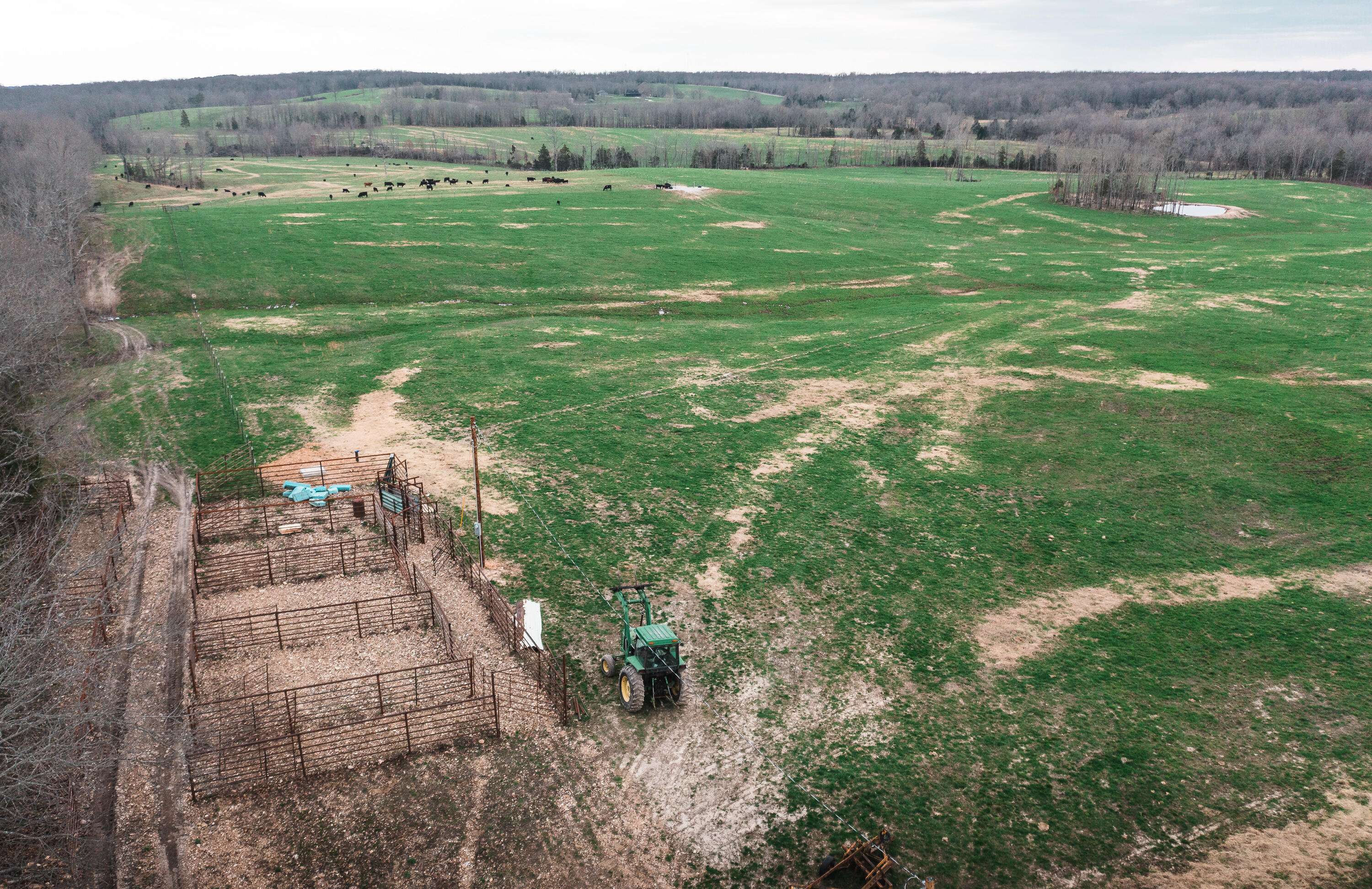 0 Kofhal RD, Licking, MO 65542