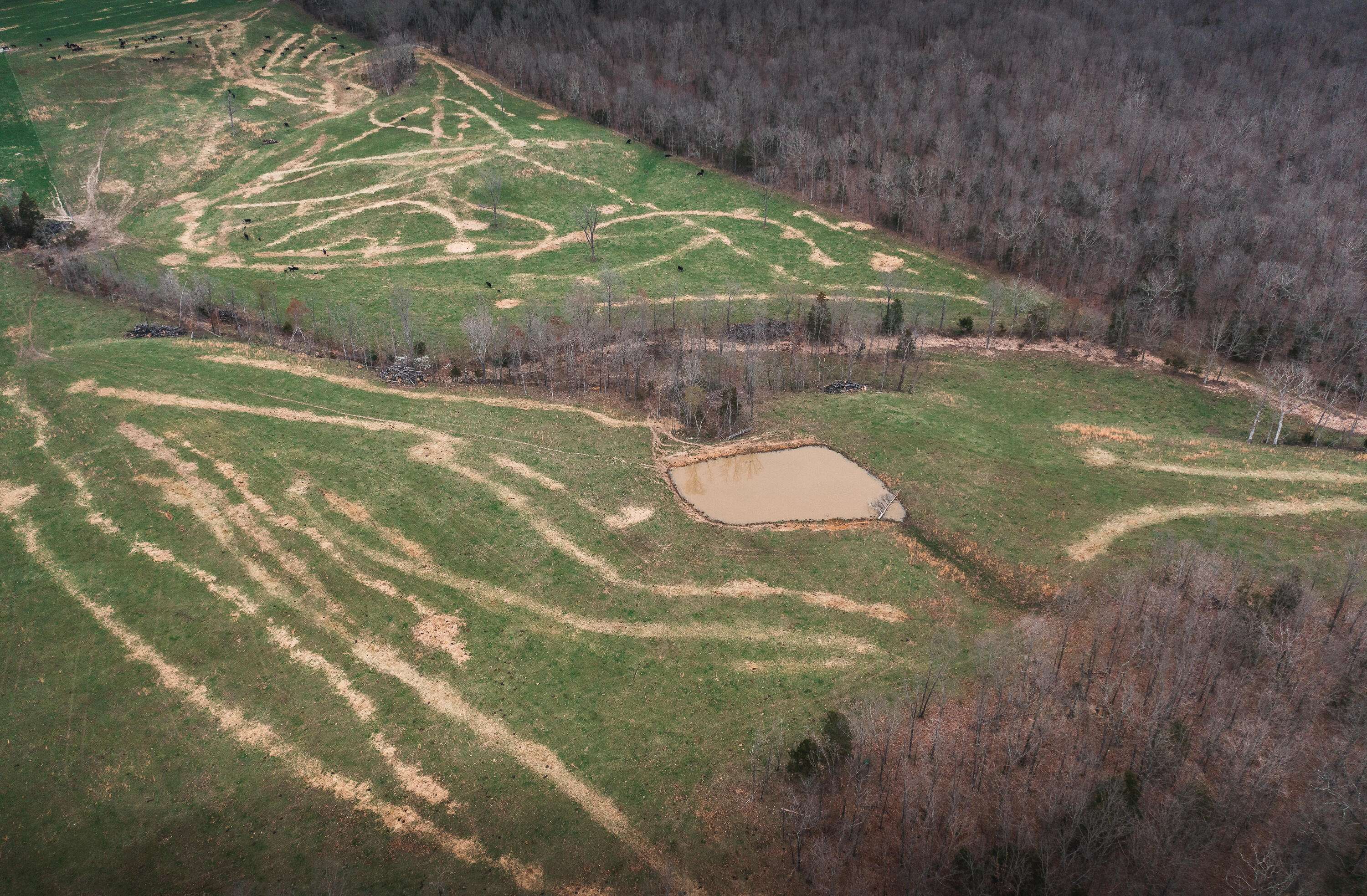 0 Kofhal Rd, Licking, MO 65542