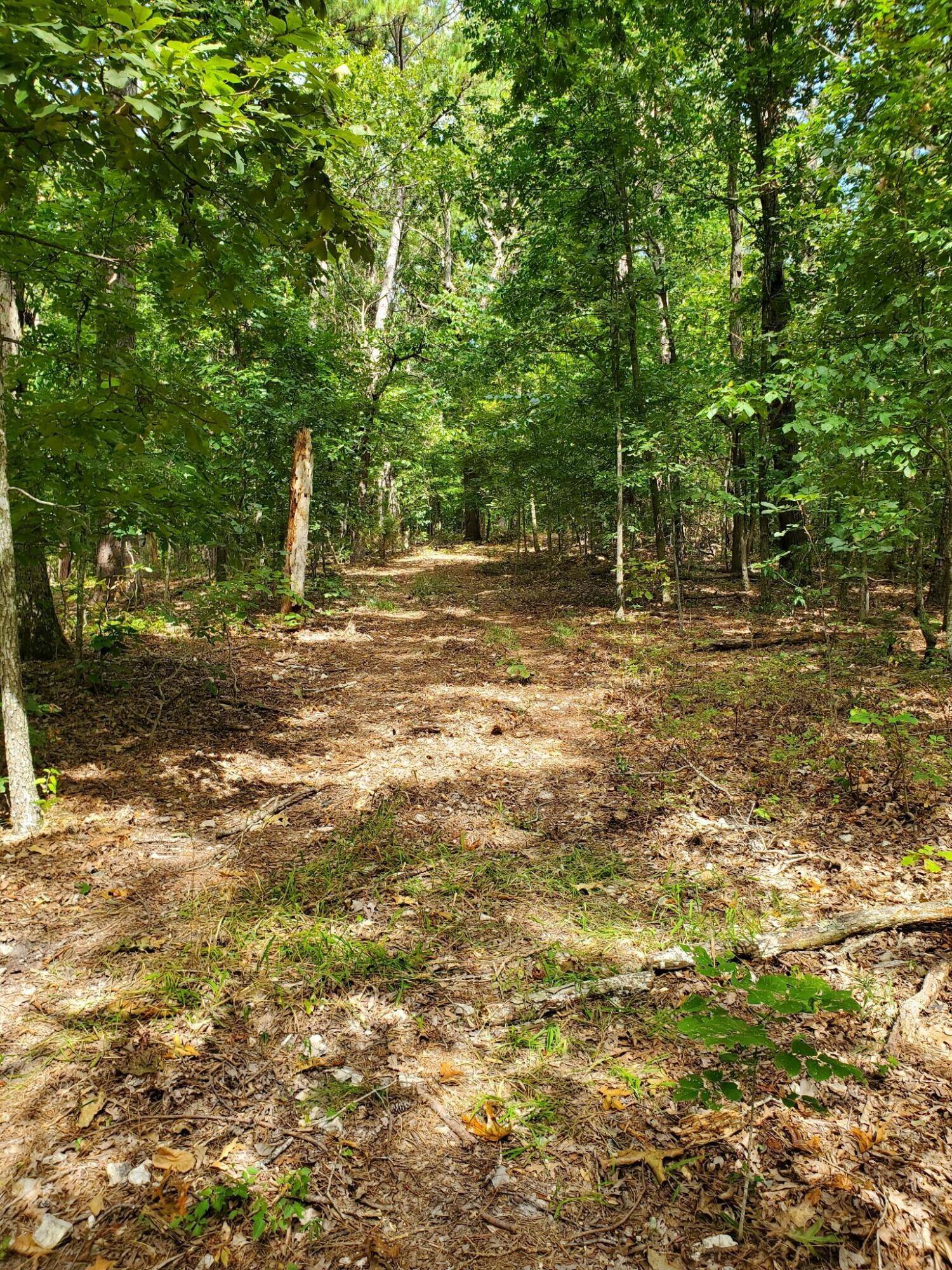 000 Highway H, Noel, MO 64854