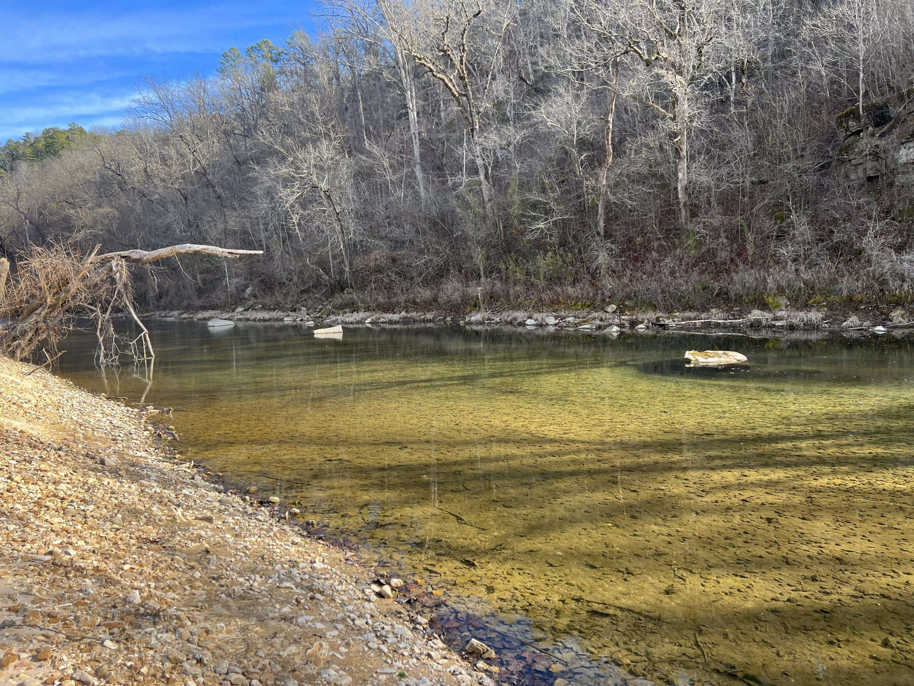 000 County Road 169, Brixey, MO 65618