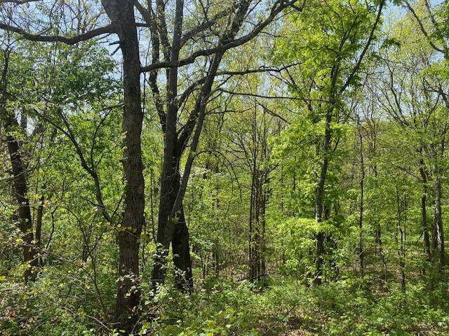0 E Woodlawn CIR, Rogersville, MO 65742