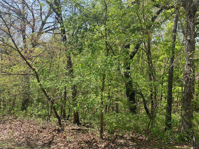 0 E Woodlawn CIR, Rogersville, MO 65742