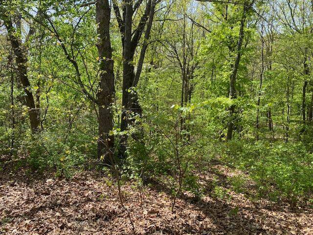 0 E Woodlawn CIR, Rogersville, MO 65742