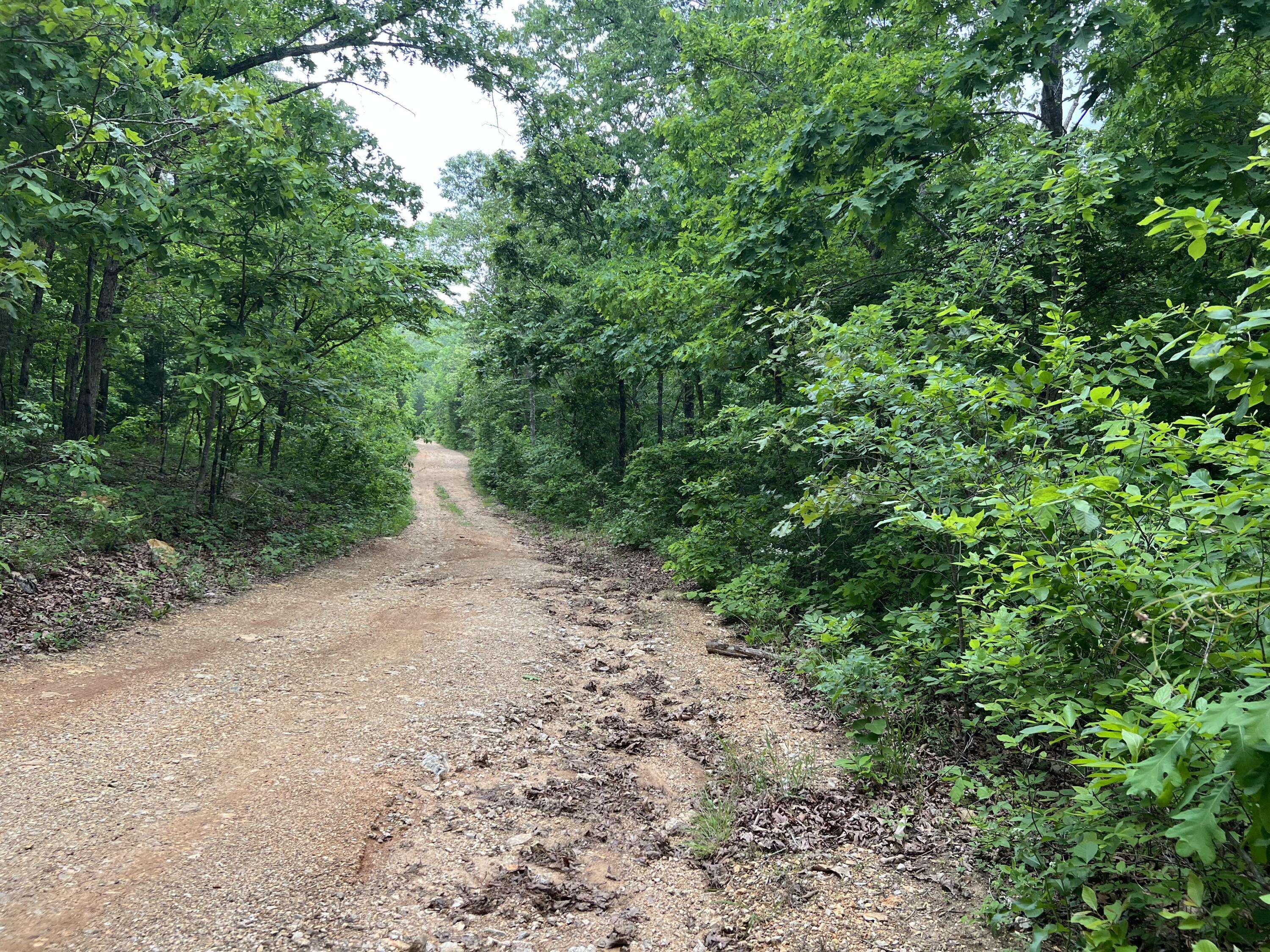 000 Lot 7 Tall Oaks Trail, Mammoth Spring, AR 72554