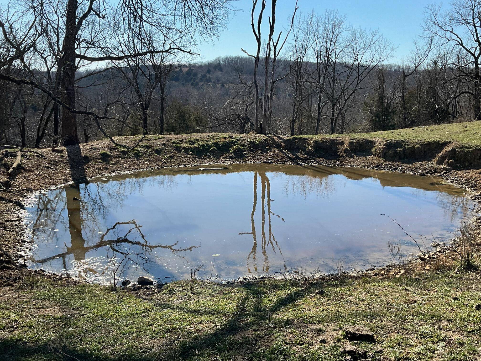 594 County Road 873, Thornfield, MO 65762