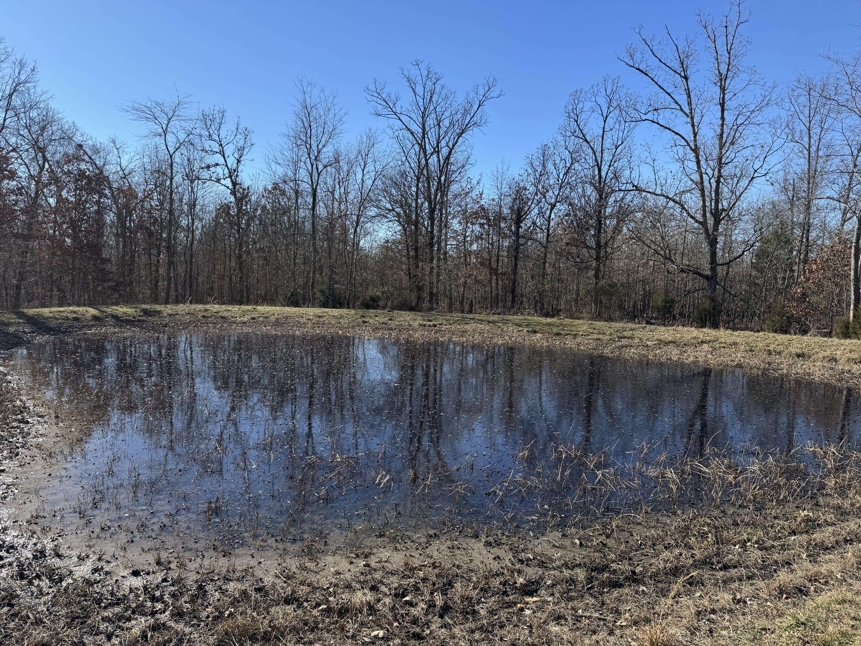 Xoxo Flag Springs Road, Washburn, MO 65772