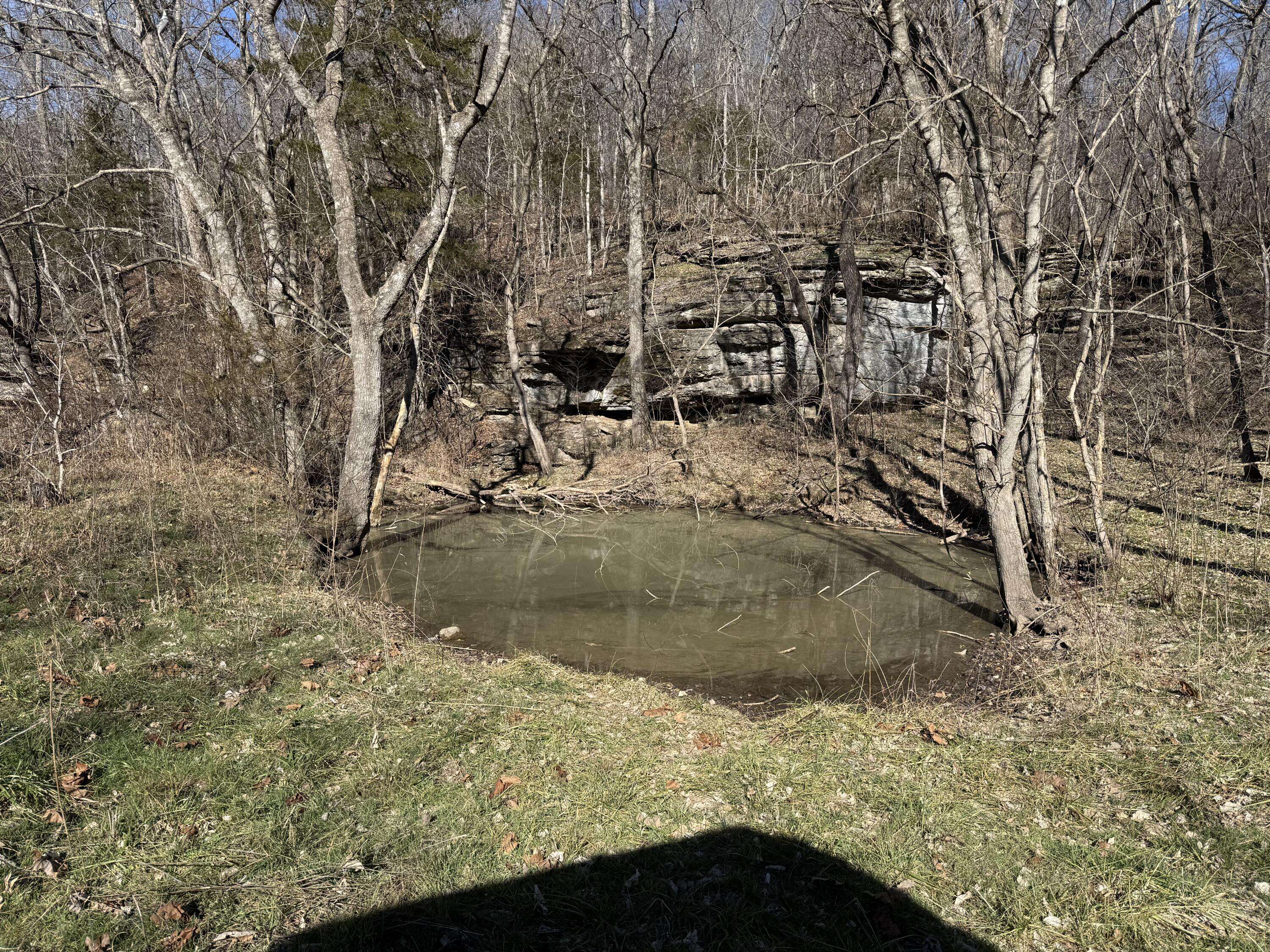 Xoxo Flag Springs Road, Washburn, MO 65772