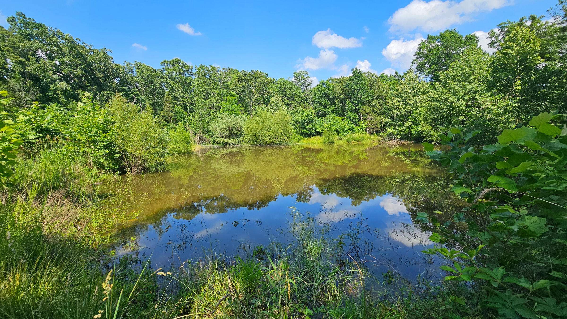 65 Gunslinger DR, Brixey, MO 65618