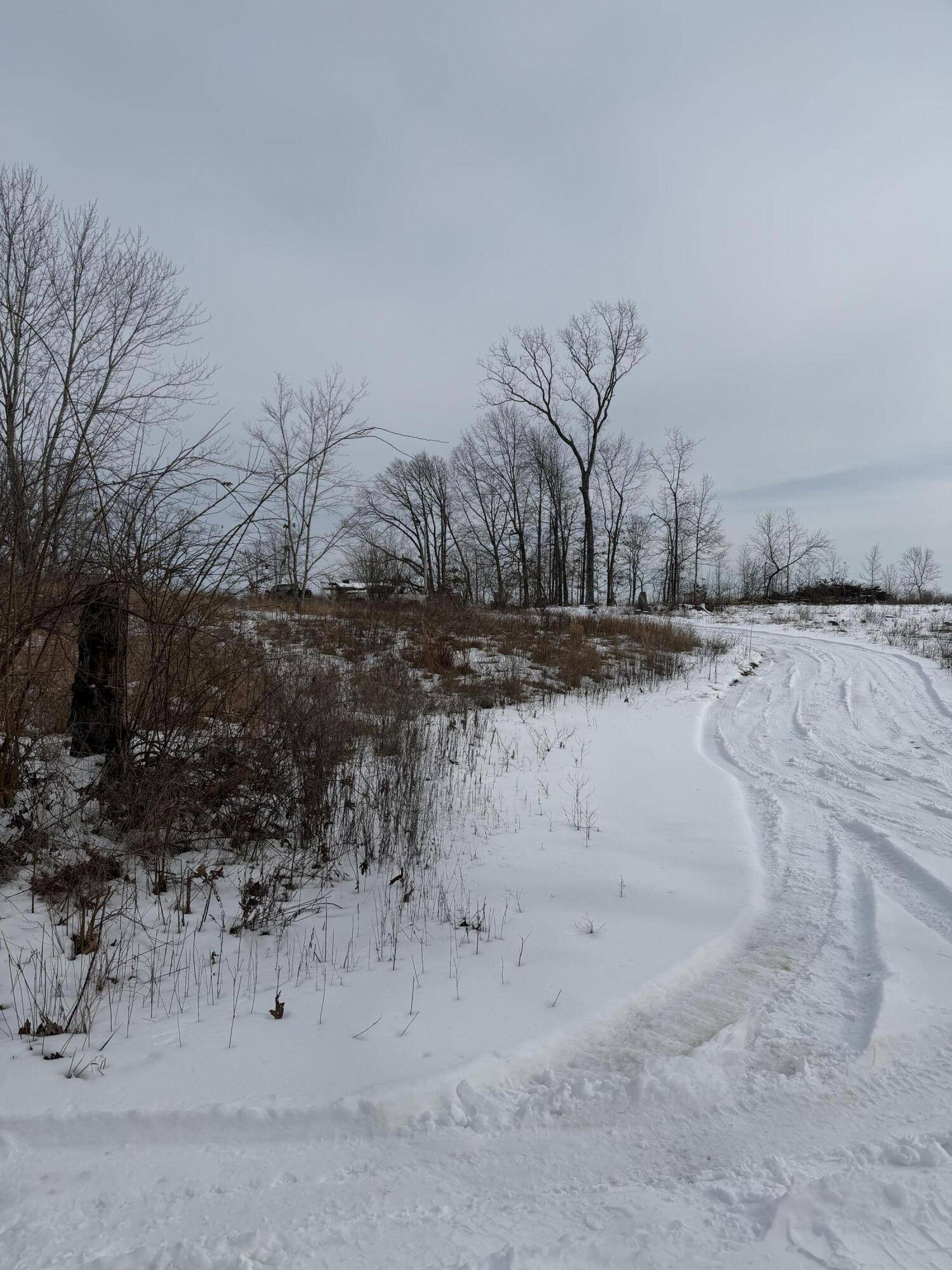 0000 County Road 3500, Mountain View, MO 65548