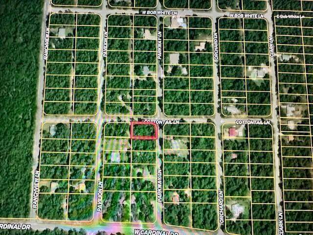 1111 Parkway Lane, Horseshoe Bend, AR 72512