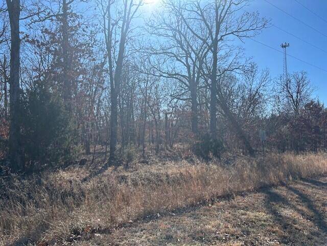 18 Ac Jenny Lane, Granby, MO 64844