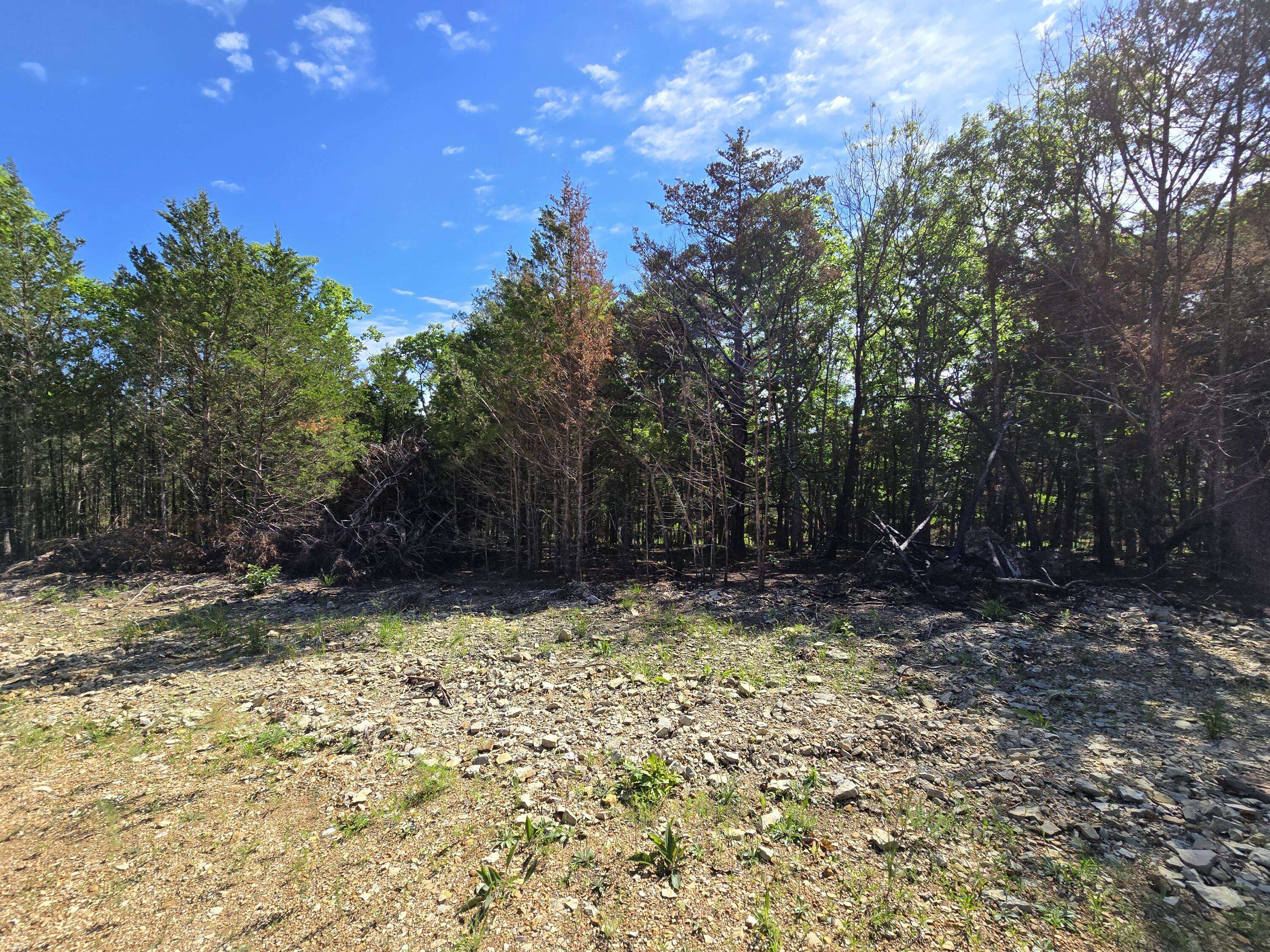 #3 Block 12 Tall Oaks, Pittsburg, MO 65724