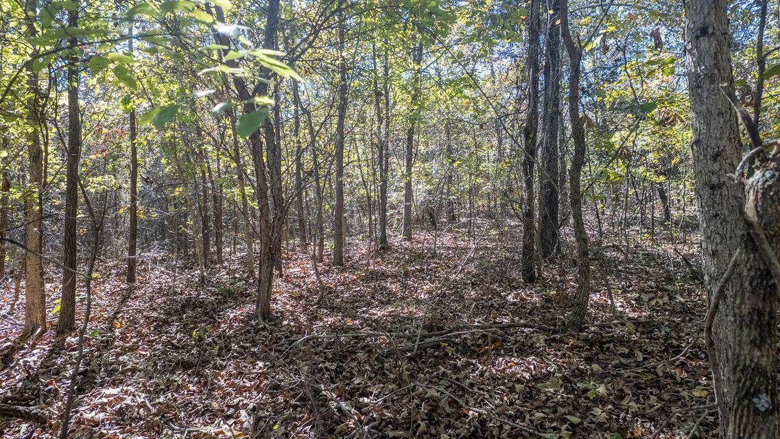 000 Cheetowaga CIR, Cherokee Village, AR 72529