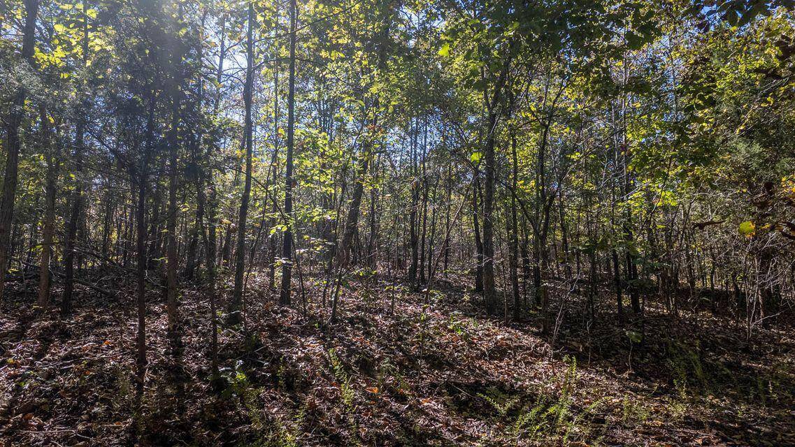 000 Wetumka DR, Cherokee Village, AR 72529