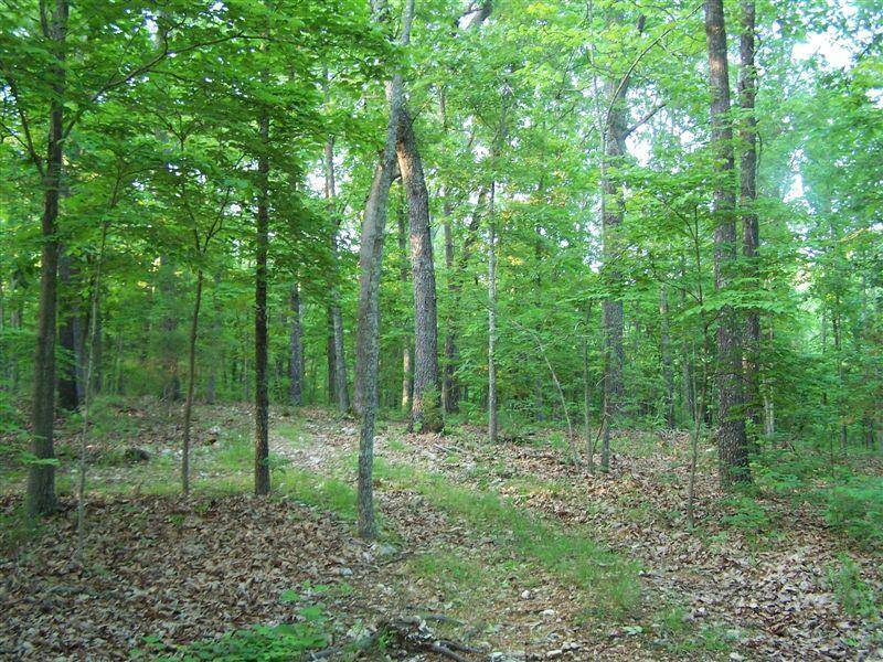 000 County Road 830, Thornfield, MO 65762