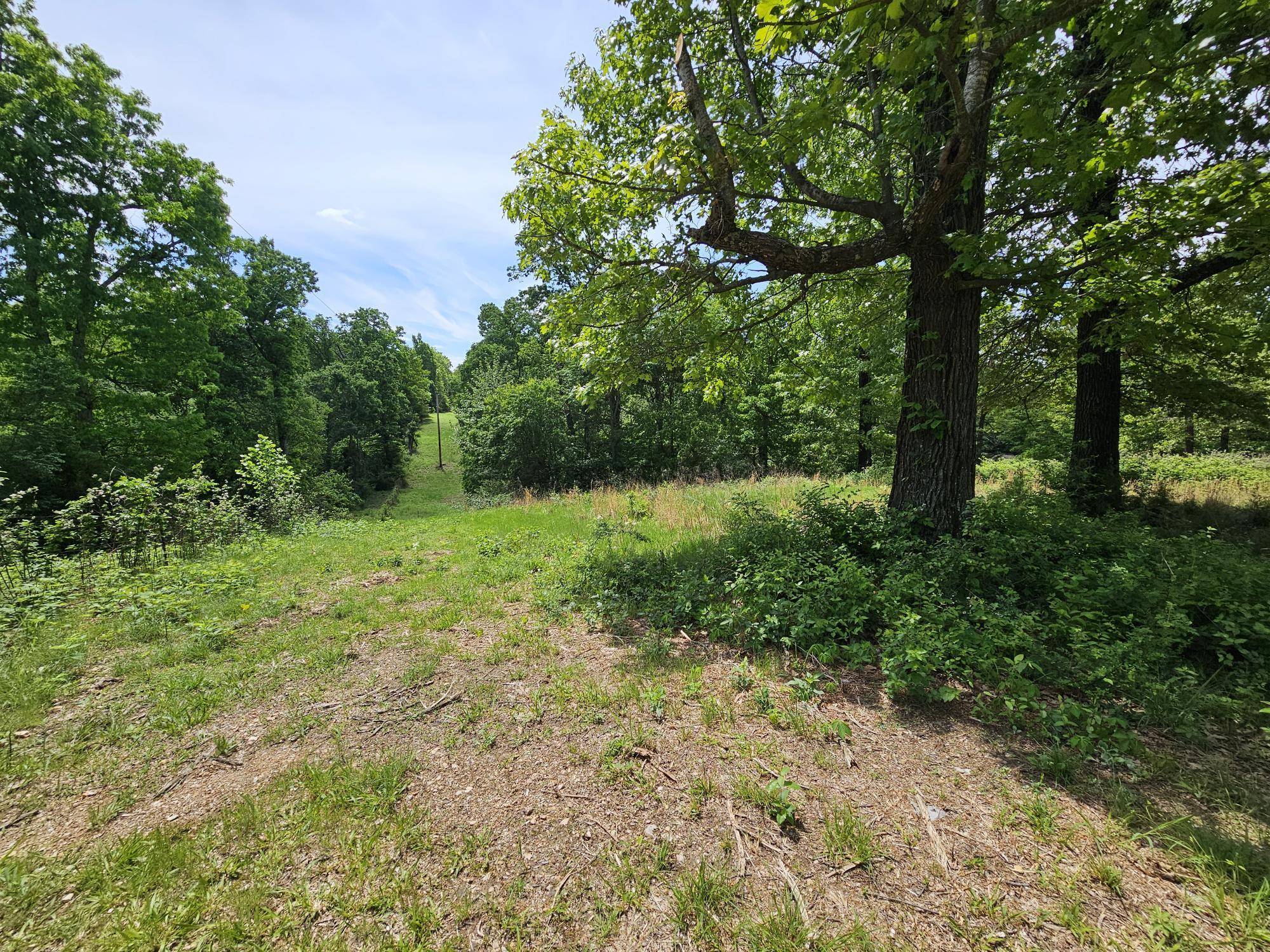 000-7.59ac Eastwood DR, Neosho, MO 64850
