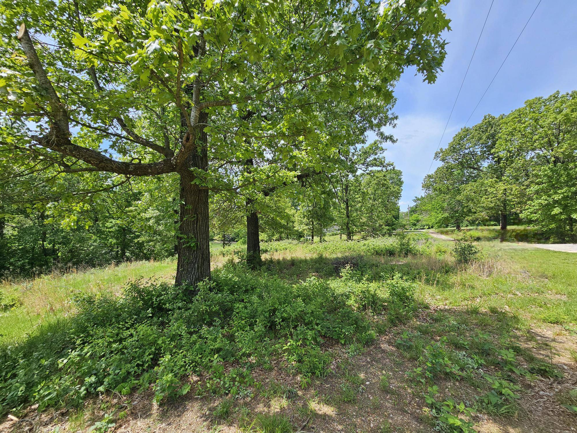 000-7.59ac Eastwood DR, Neosho, MO 64850