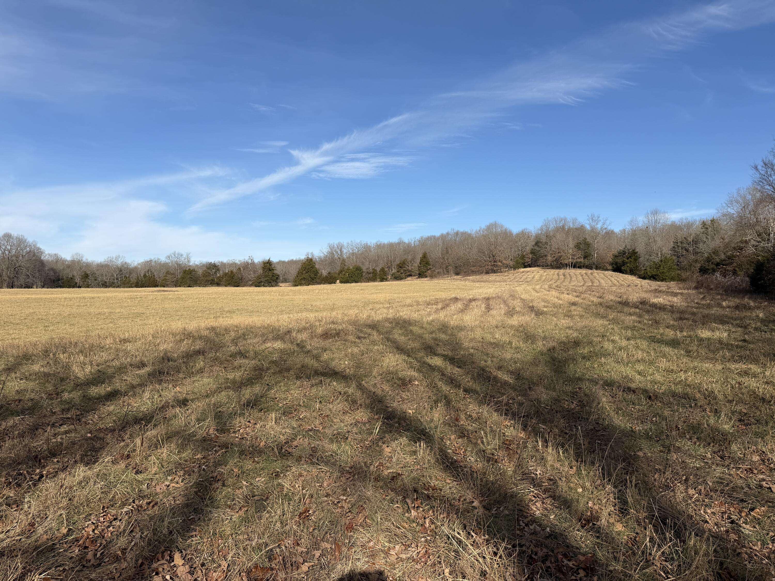 000 County Rd 328, Koshkonong, MO 65692
