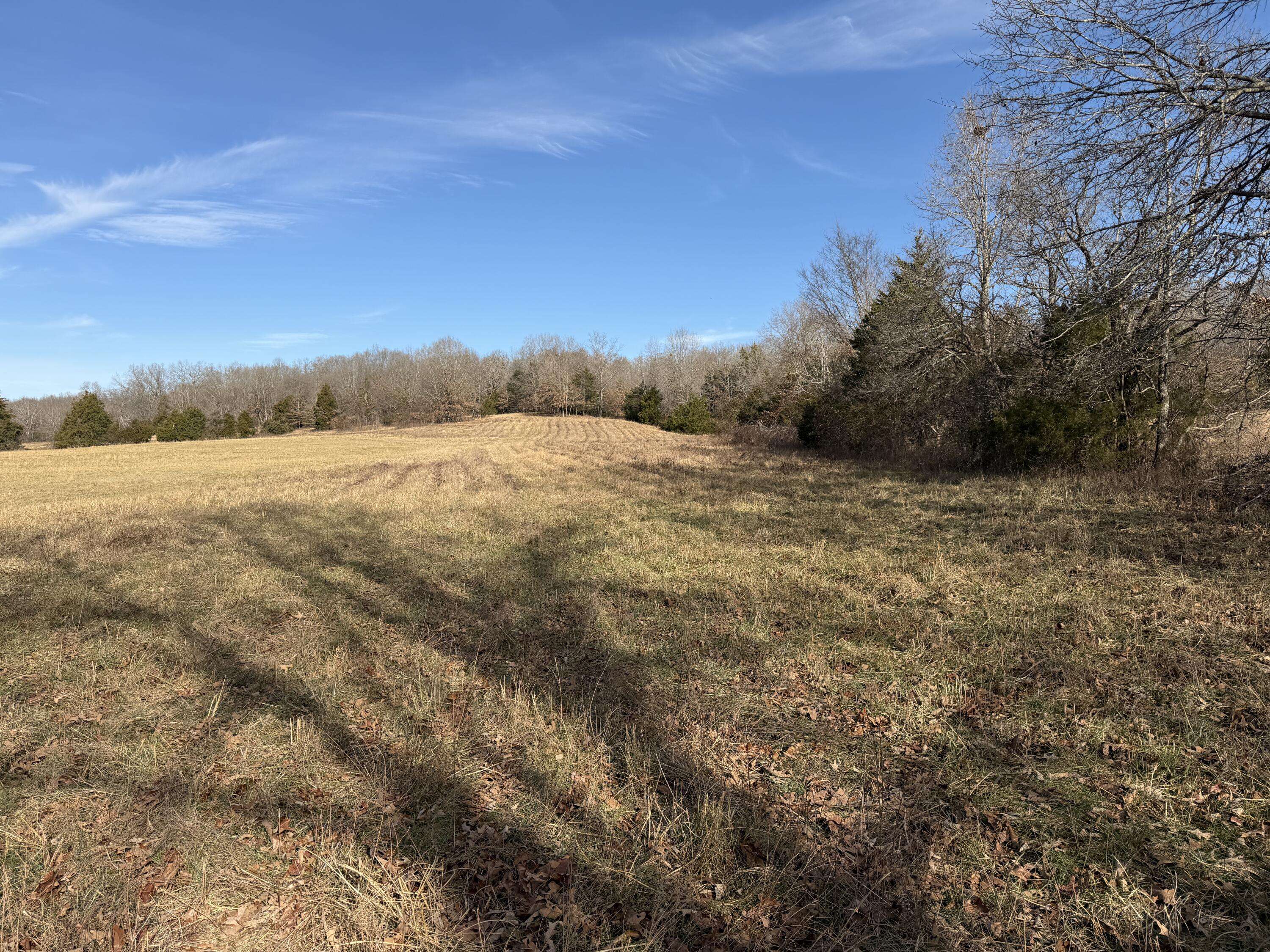 000 County Rd 328, Koshkonong, MO 65692