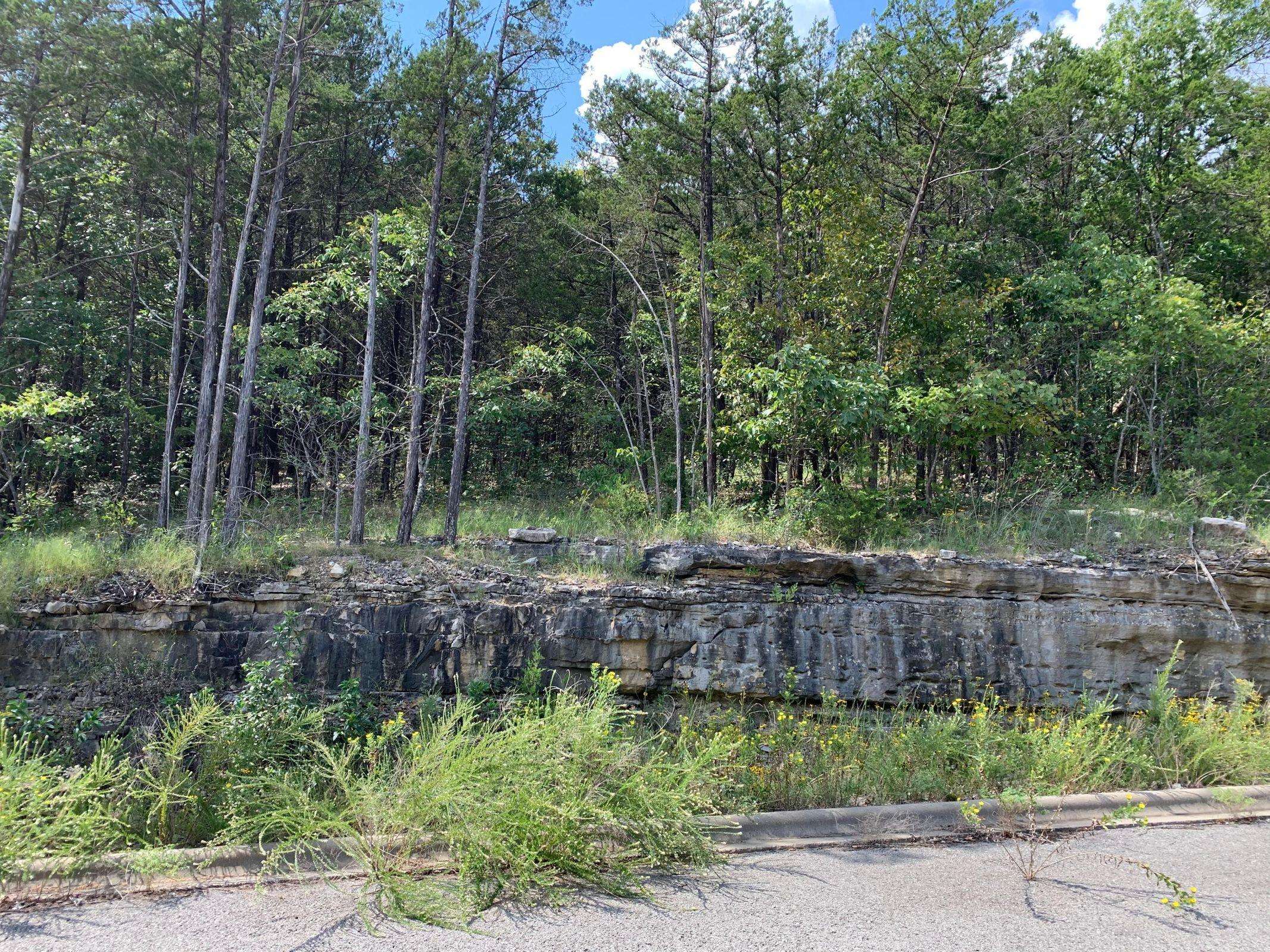 Tbd E Sharay CIR, Hollister, MO 65672