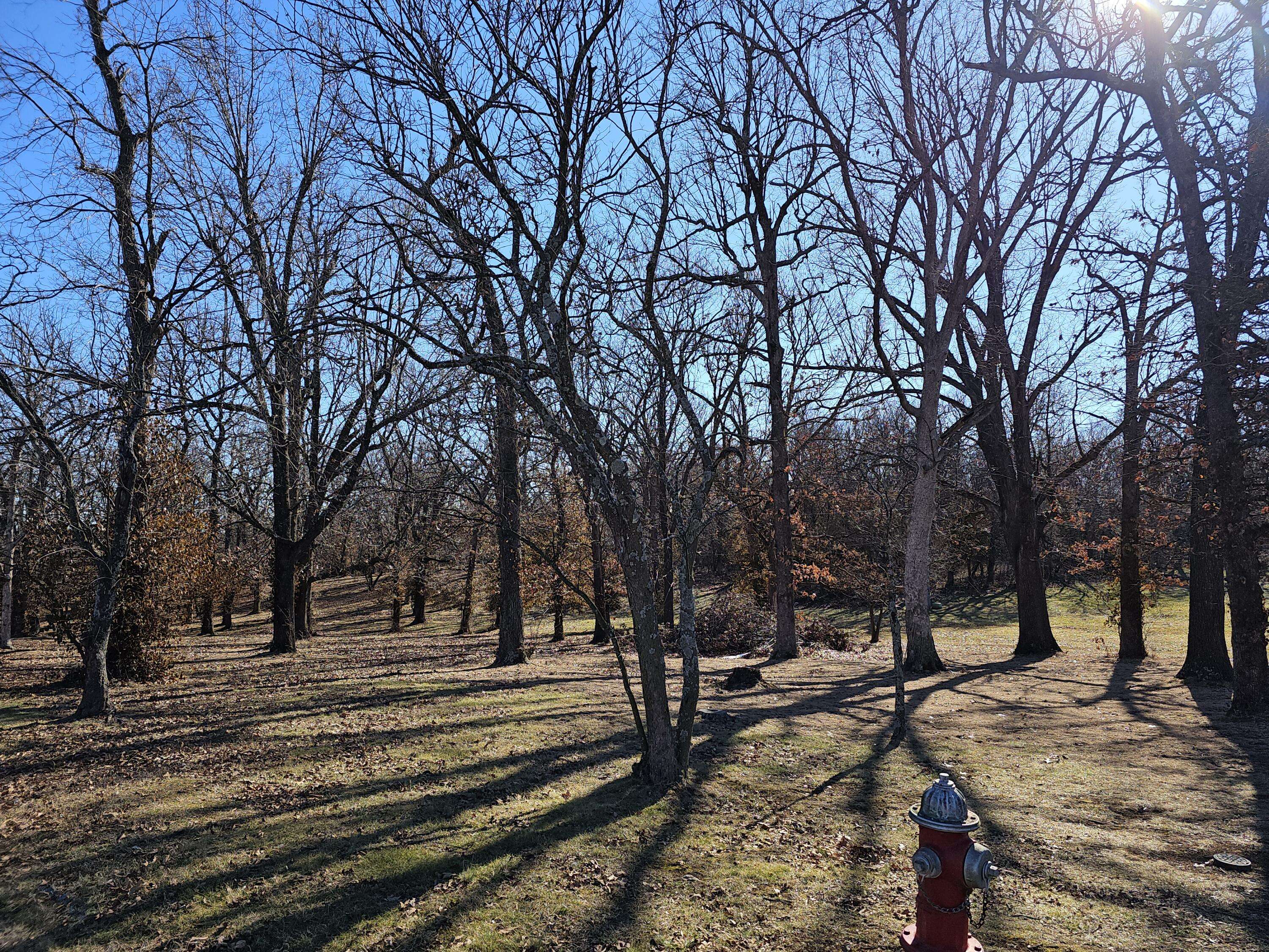 000 Redbud Place, Monett, MO 65708