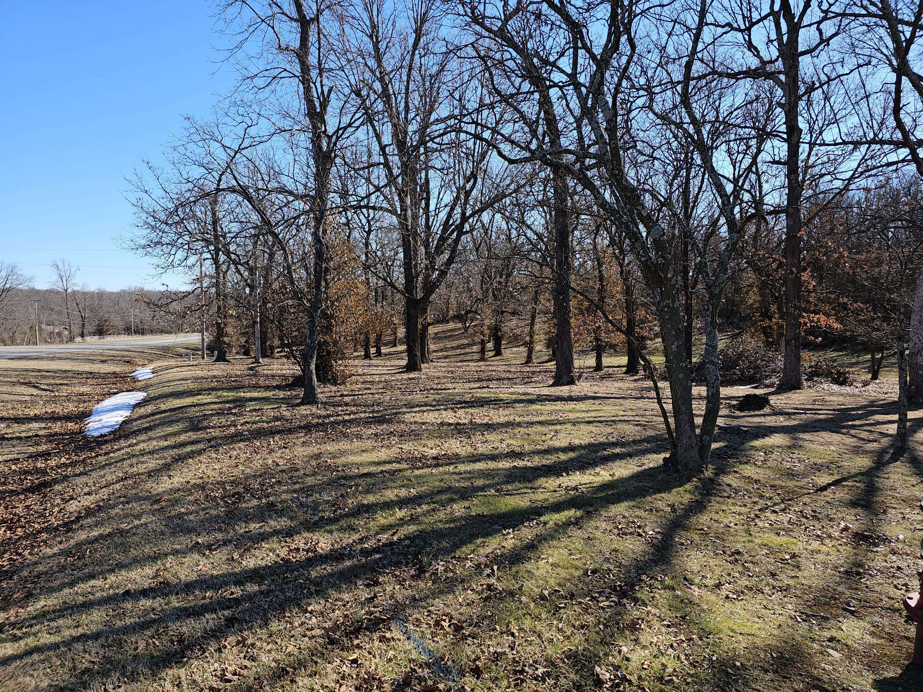 000 Redbud Place, Monett, MO 65708