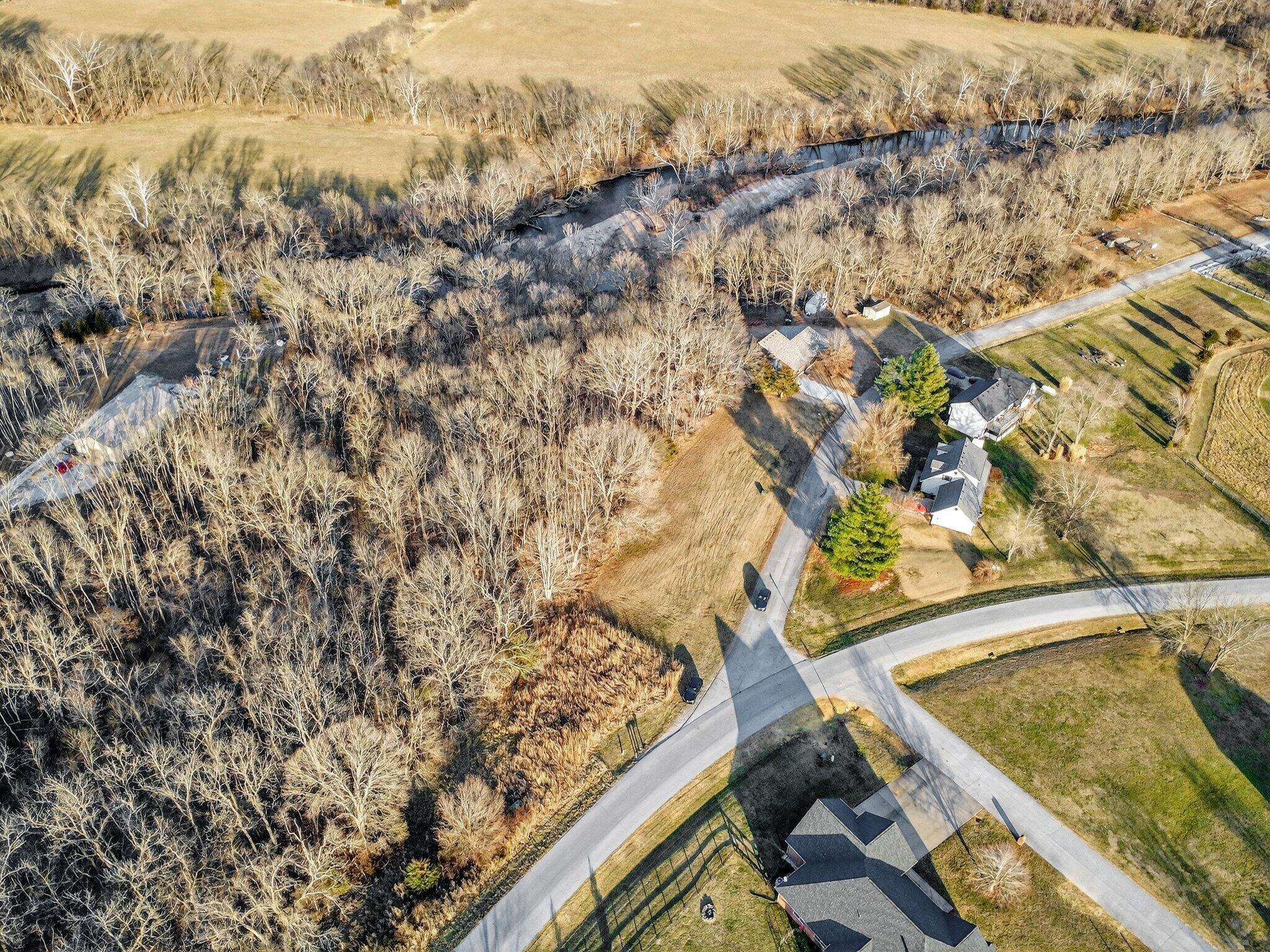 000 Dollar ST #Lot 1, 2, Clever, MO 65631