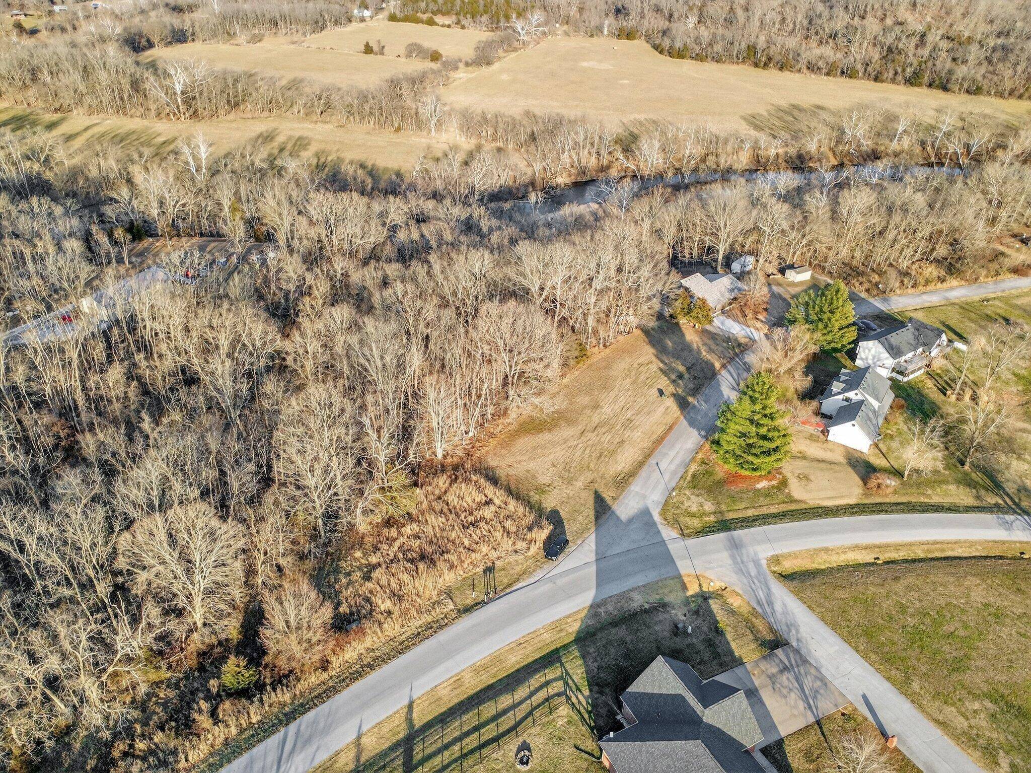 000 Dollar ST #Lot 1, 2, Clever, MO 65631