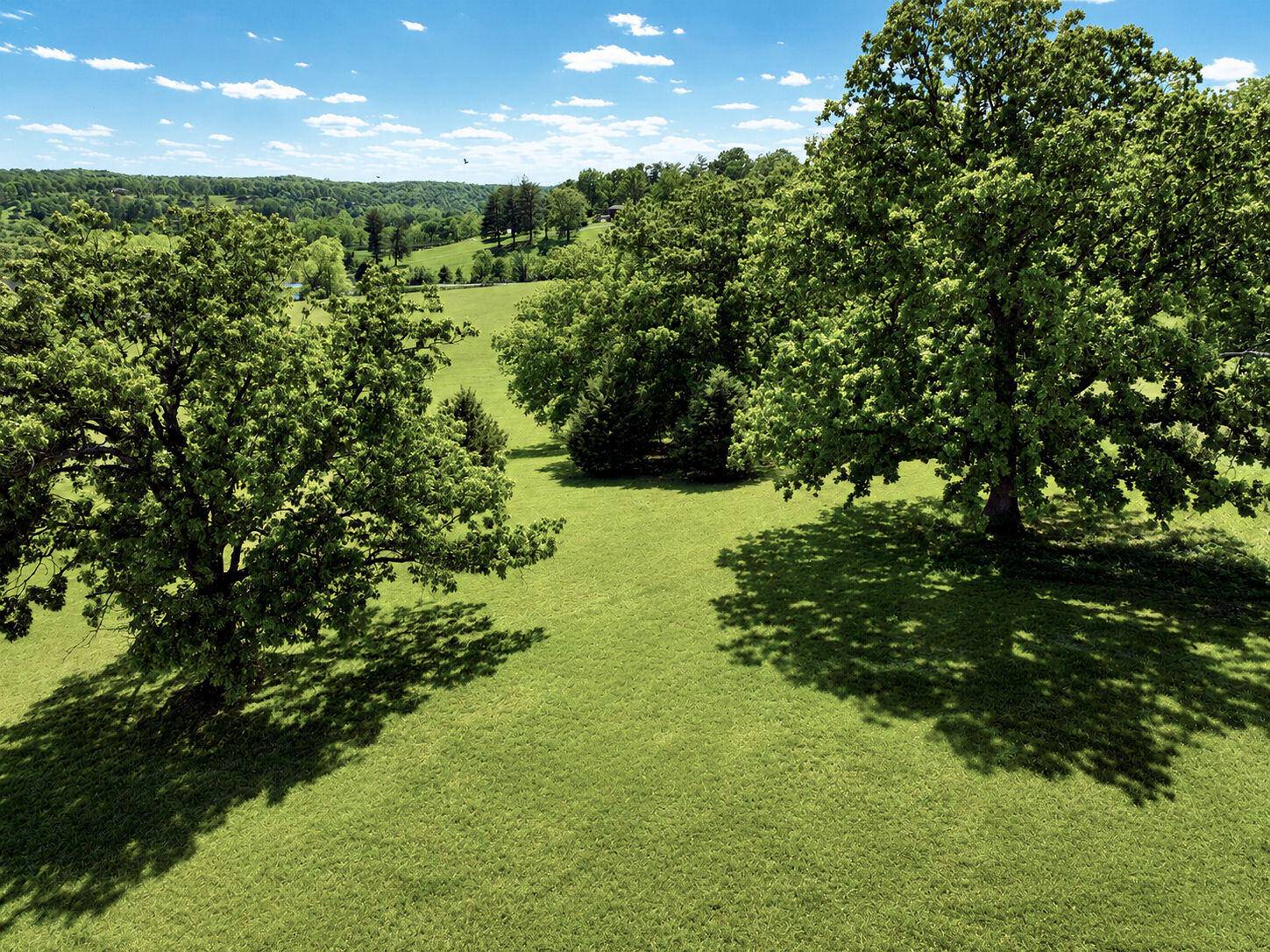 Lot #2 Lone Star DR, Nixa, MO 65714